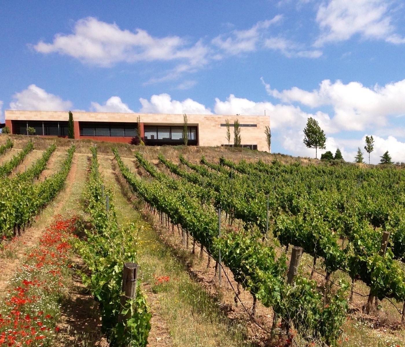 Bodegas Comenge - Winalist