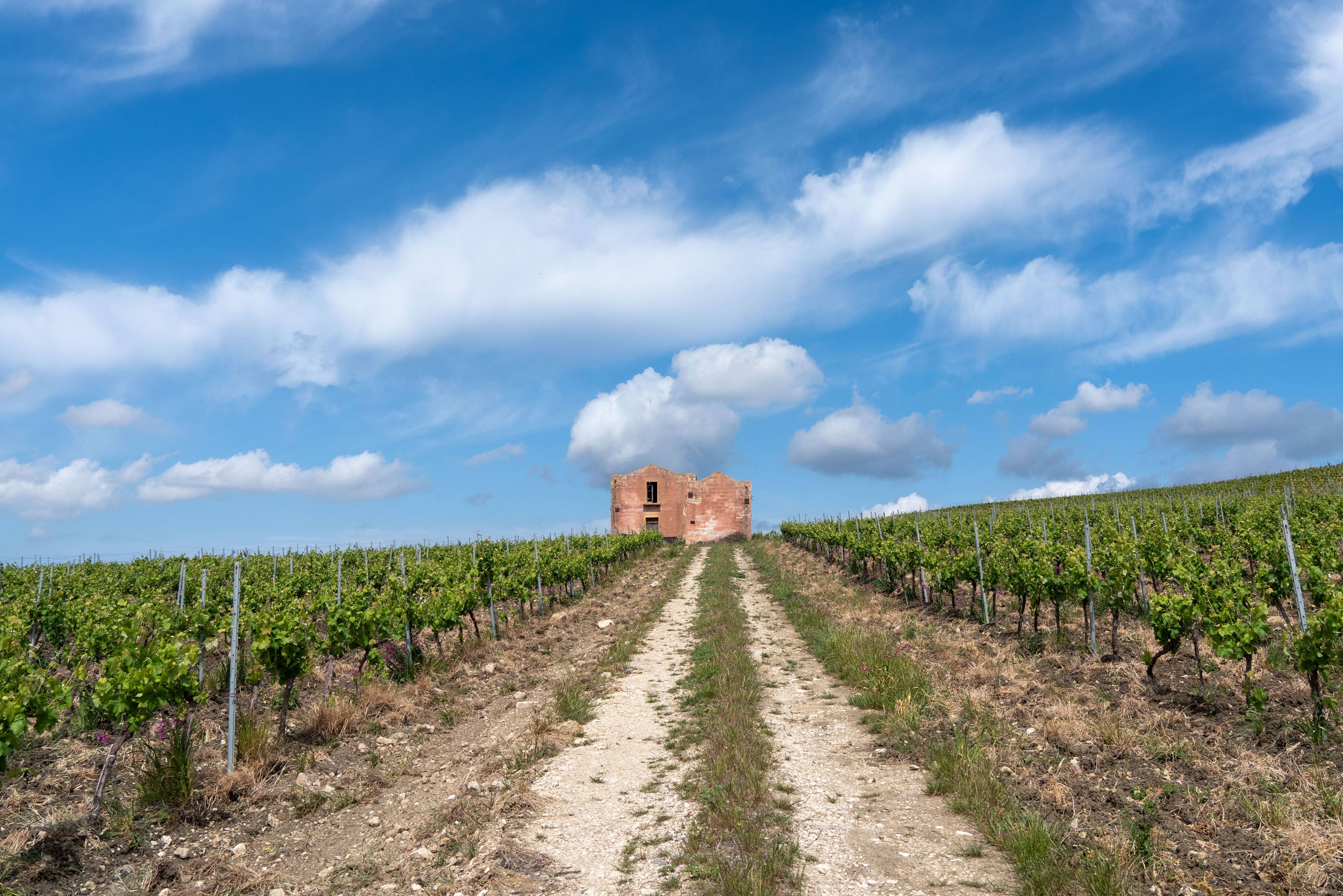 Aperitivo with wine - Casa Vinicola Fazio - Winalist
