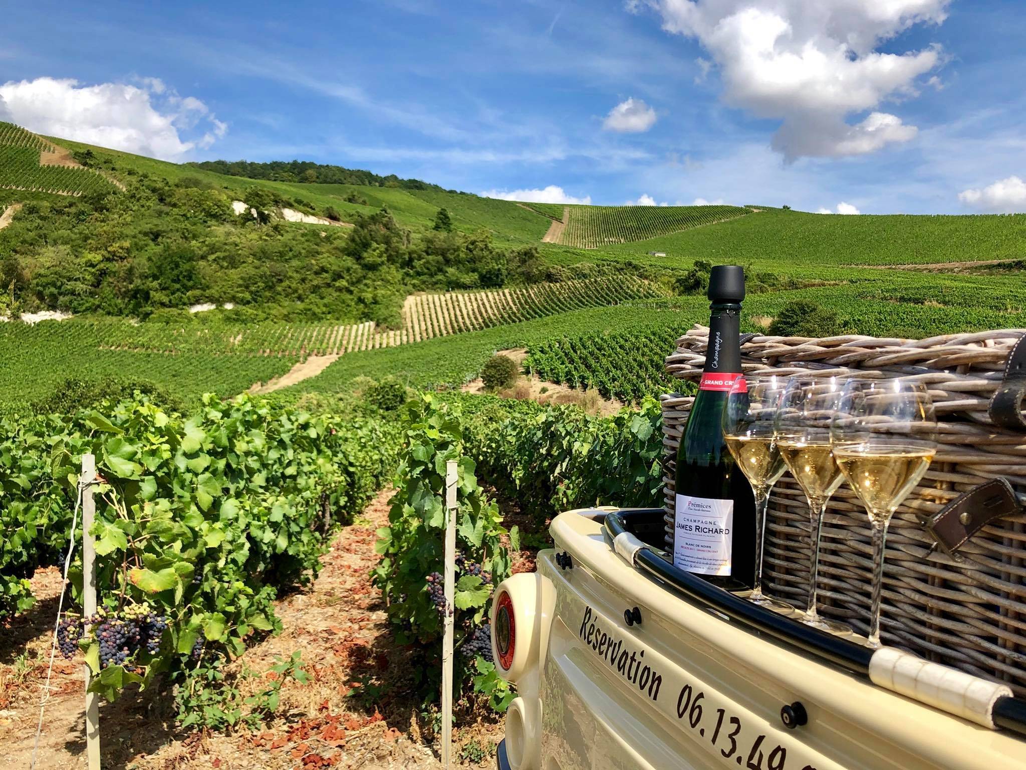 Champagne Richard-Fliniaux Tour & Tasting 2026 ⭐️ Book your