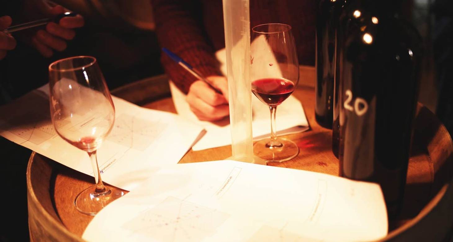 Visiter Blois : Découvrir la ville à pied et les meilleures balades - 2026 - 13 - visiter blois visiter blois - Visiter Blois : Découvrir la ville à pied et les meilleures balades - 2026 - 12