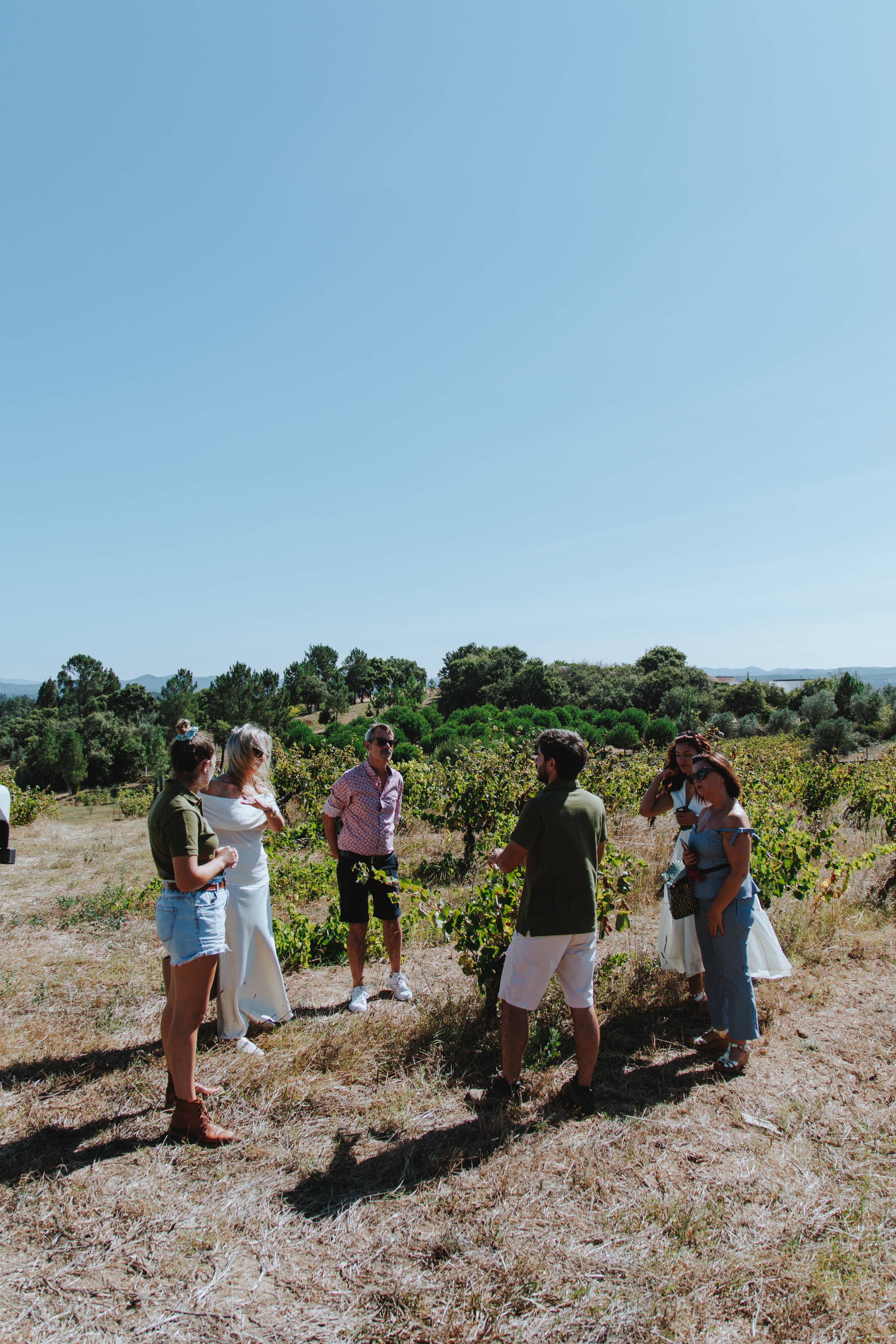 Topol 的Margaval Vinhos：预约参观