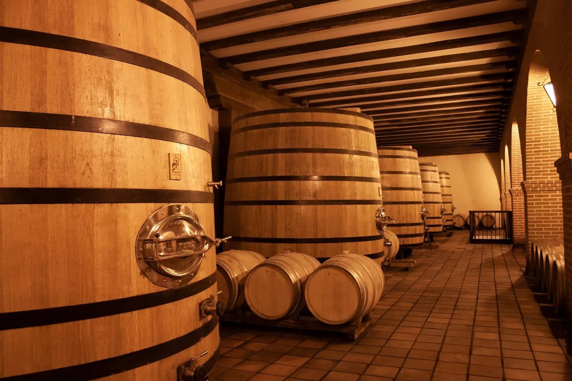 Visit and tasting at Bodegas Mocén in Castilla and Leon Visit Bodegas