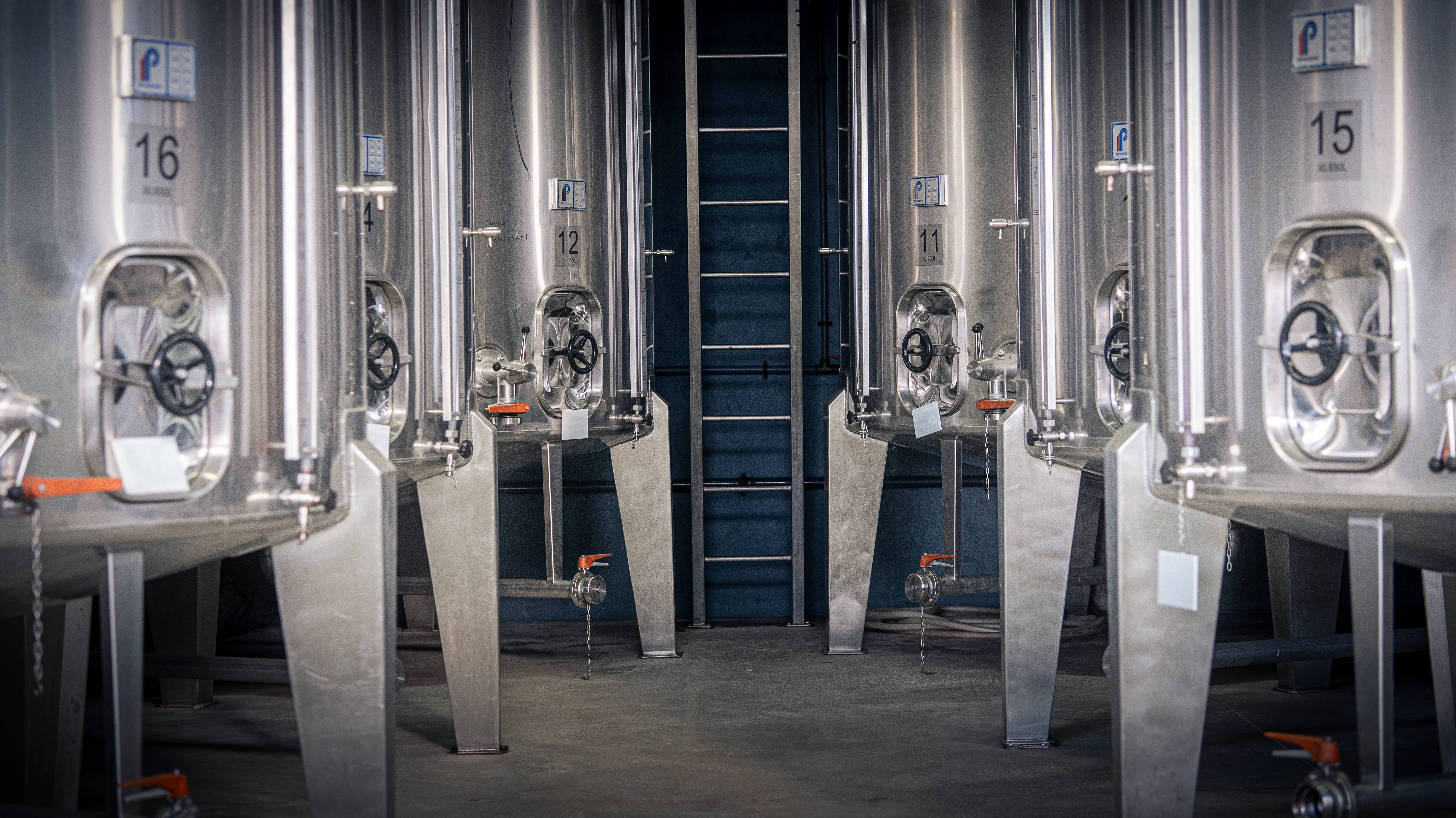 Classic Tour - Aleixo Wines - Real Cave Do Cedro - Winalist