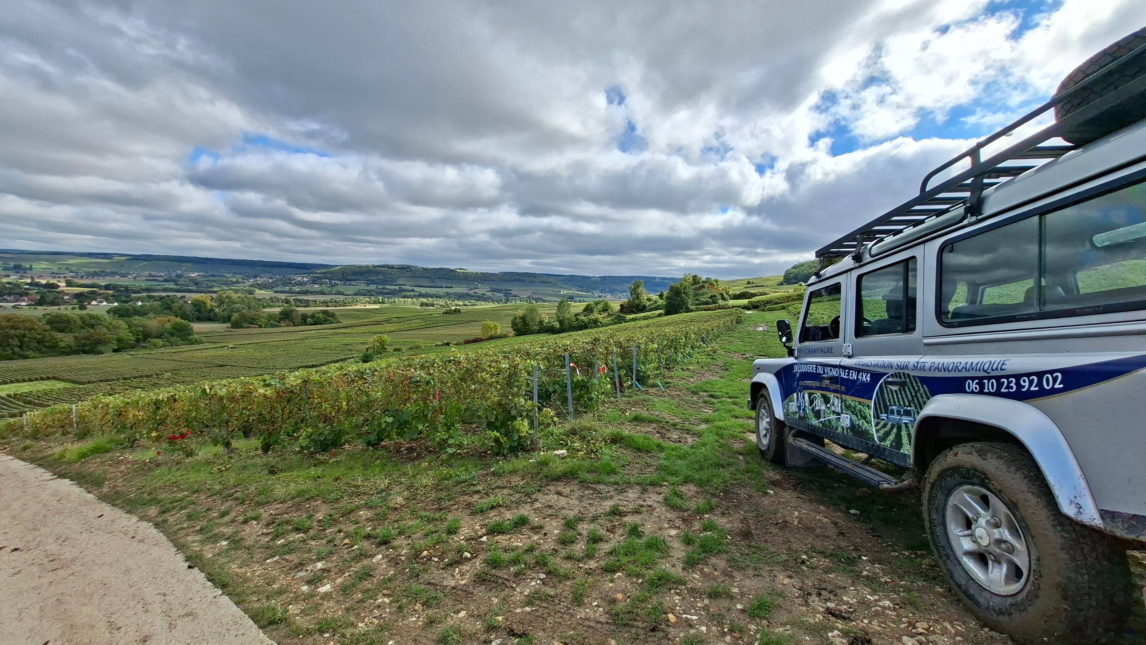 Visite du vignoble en 4x4 et dégustation dans les vignes 