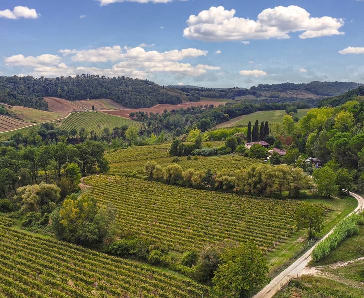 Siena Wine Tours Tastings ⭐️ BEST Wineries 2025 - Main Image