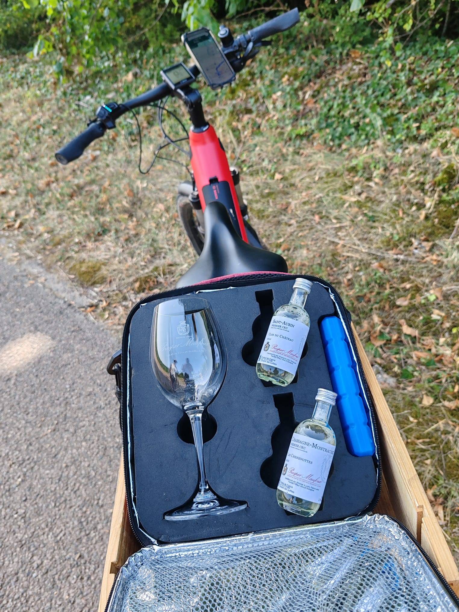 Experiência de bicicleta na vinha