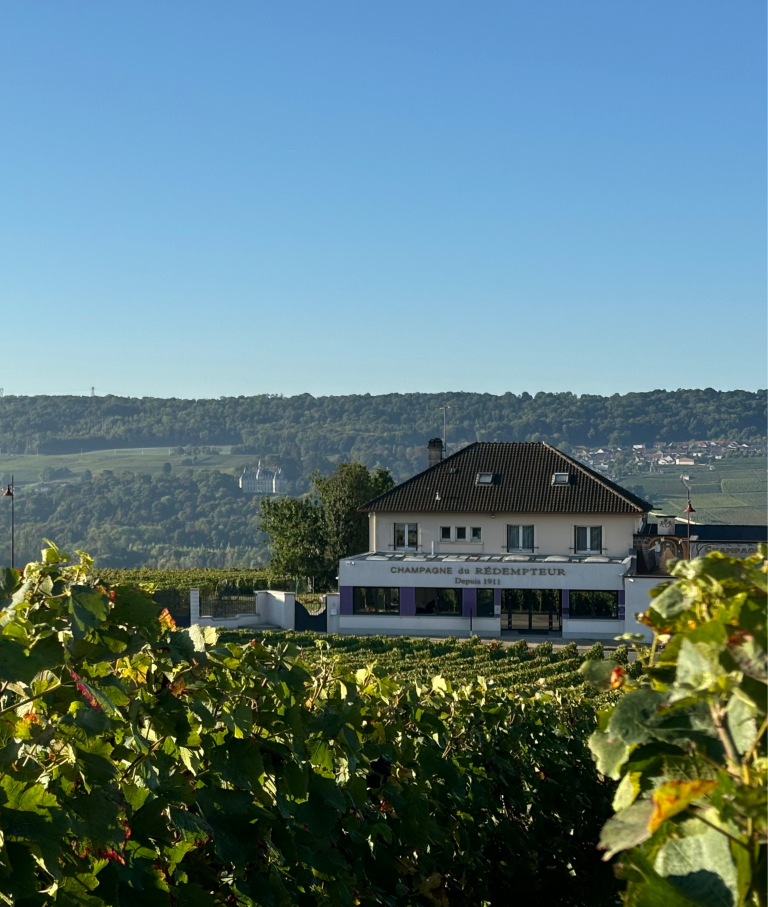 Champagne du Rédempteur - Winalist