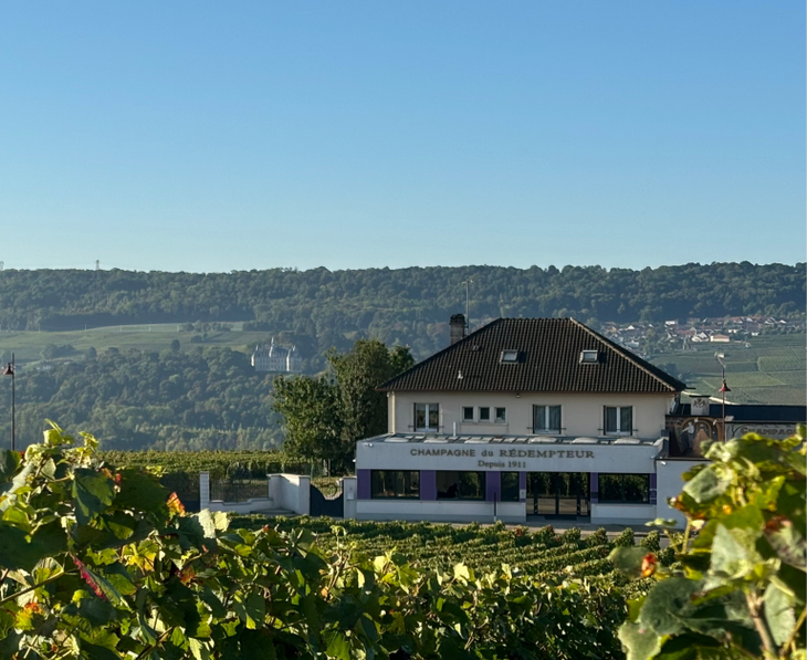 Orléans Wine Tours Tastings ⭐️ BEST Wineries 2025