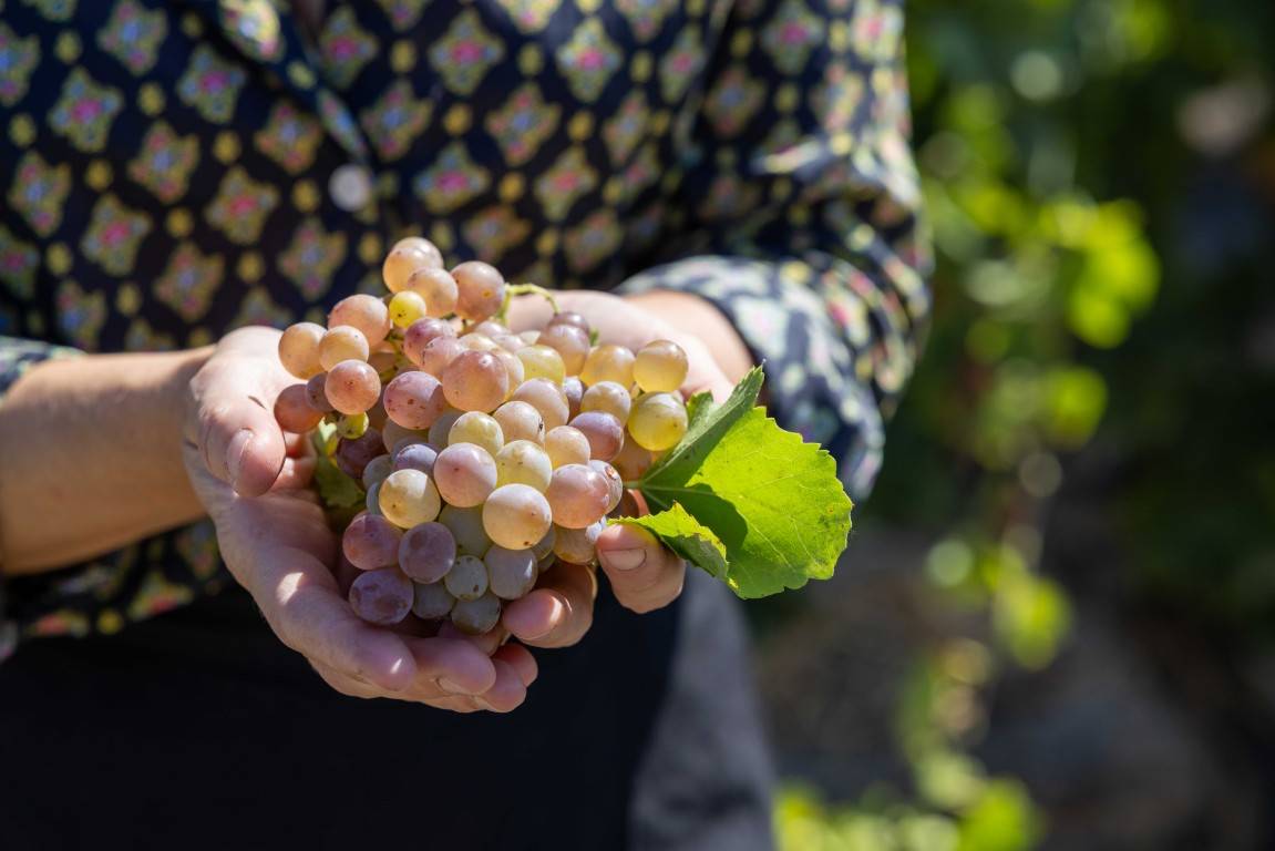 Visita e prova da propriedade - Domaine Terres de Sable  - Winalist