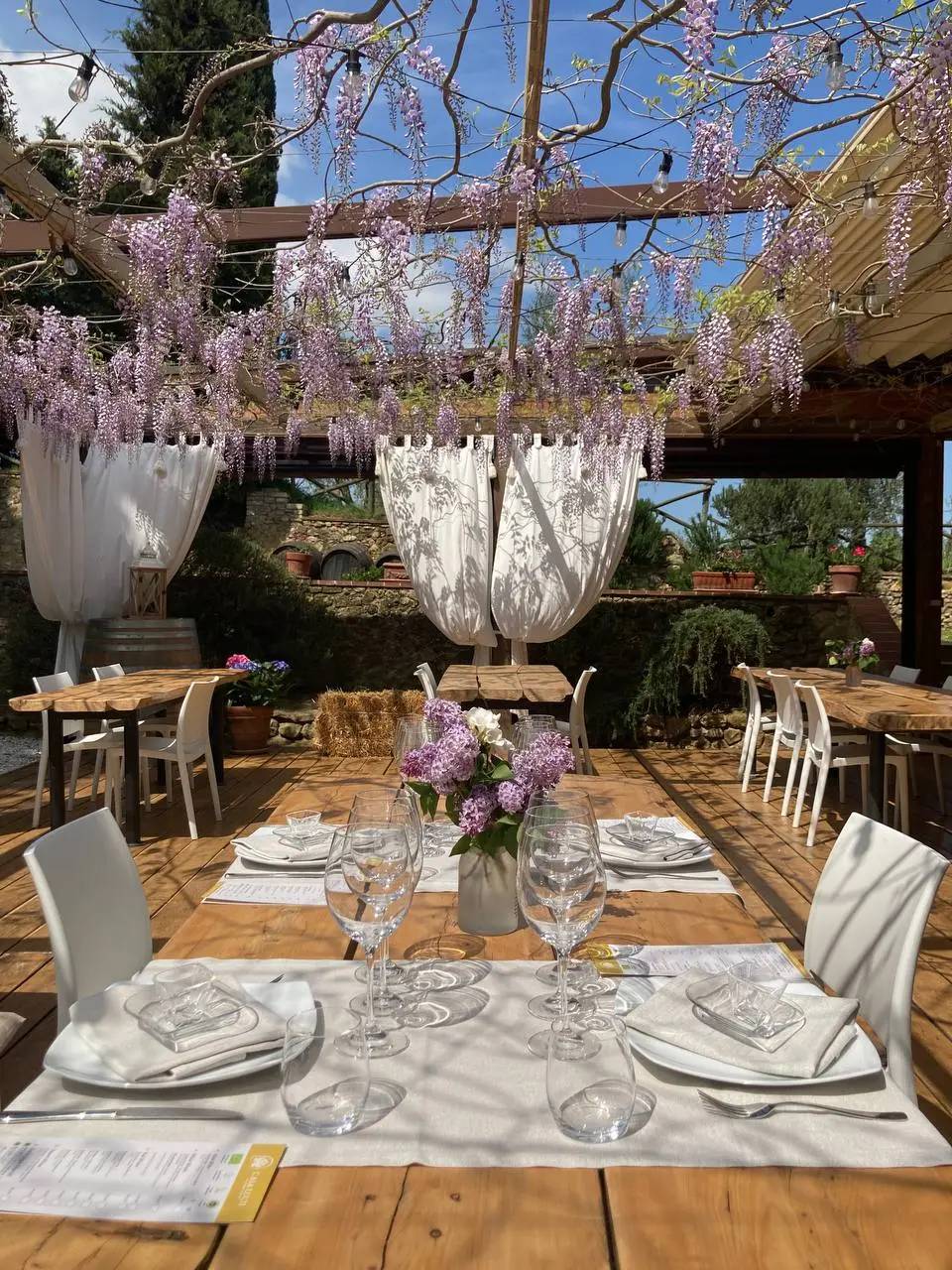 Visita ad una cantina biologica con degustazione