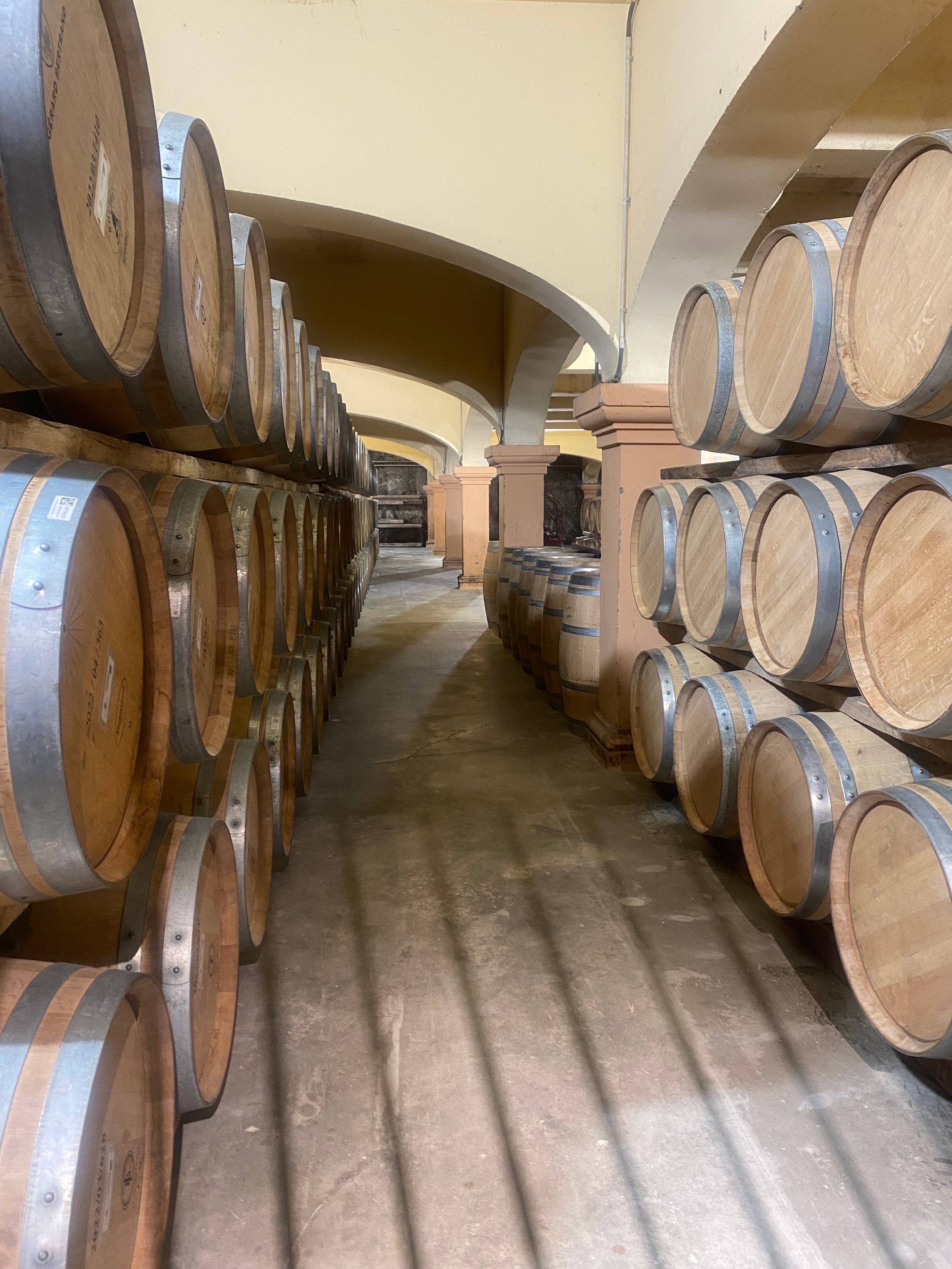 Group visit and tasting of 4 wines