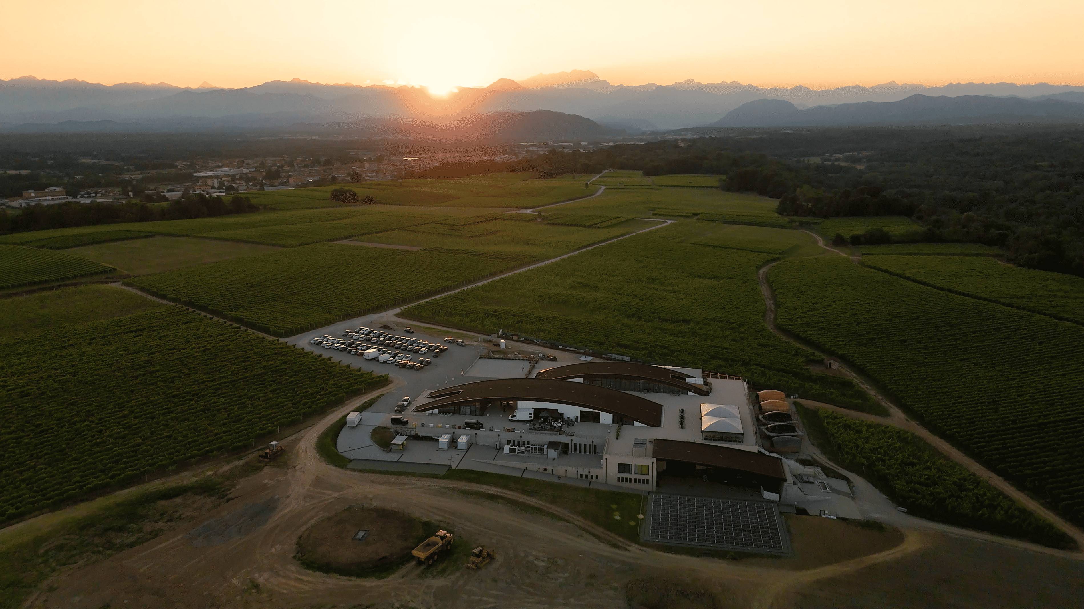 Black Friday & Mercato del vino in cantina !