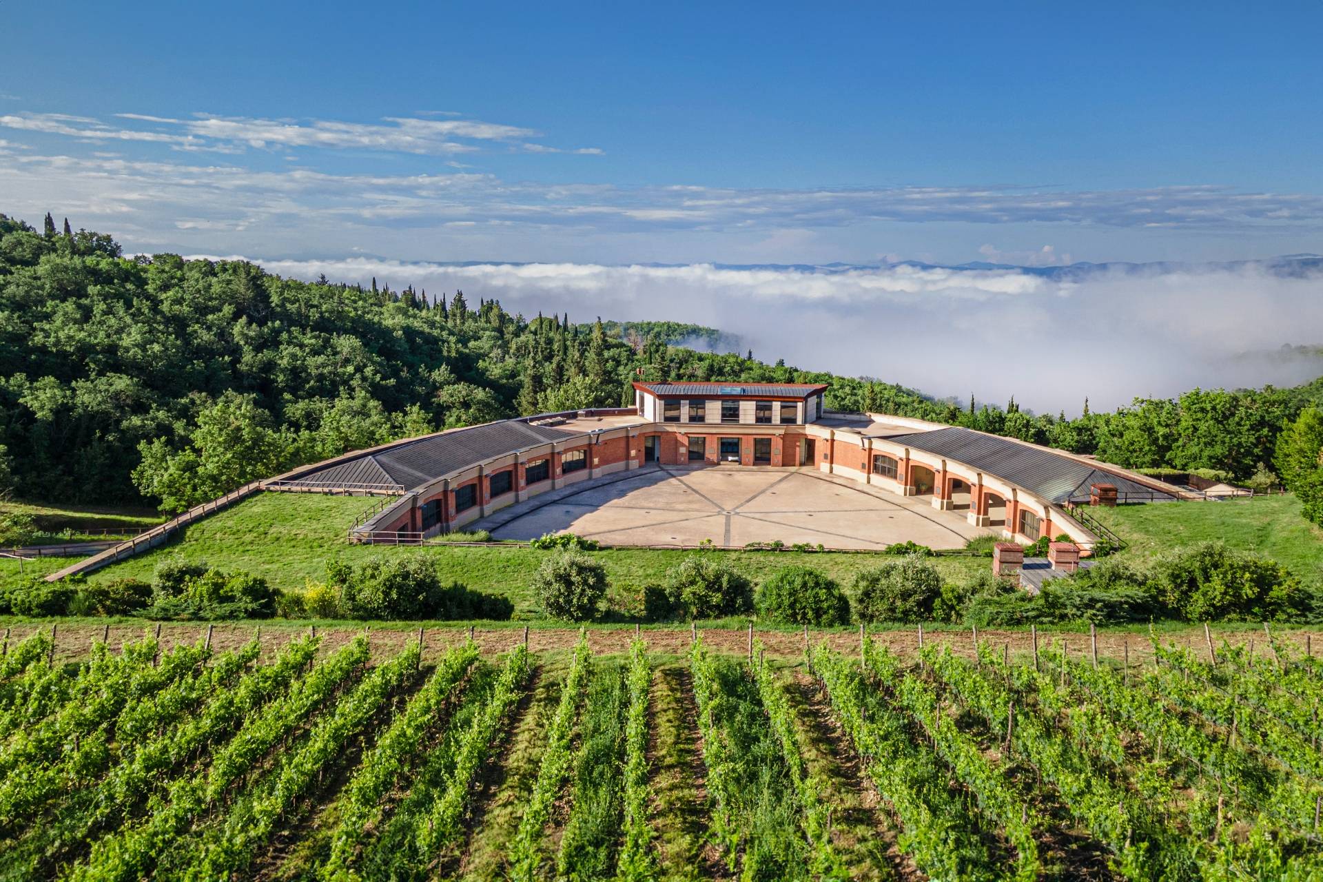 Castello Di Fonterutoli Marchesi Mazzei - Winalist