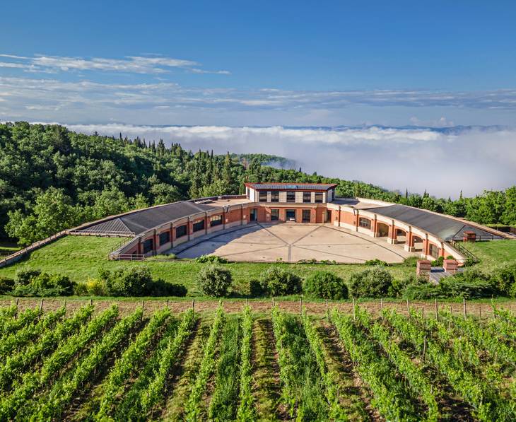 Vermentino Wine Tours Tastings ⭐️ Best Wineries 2025