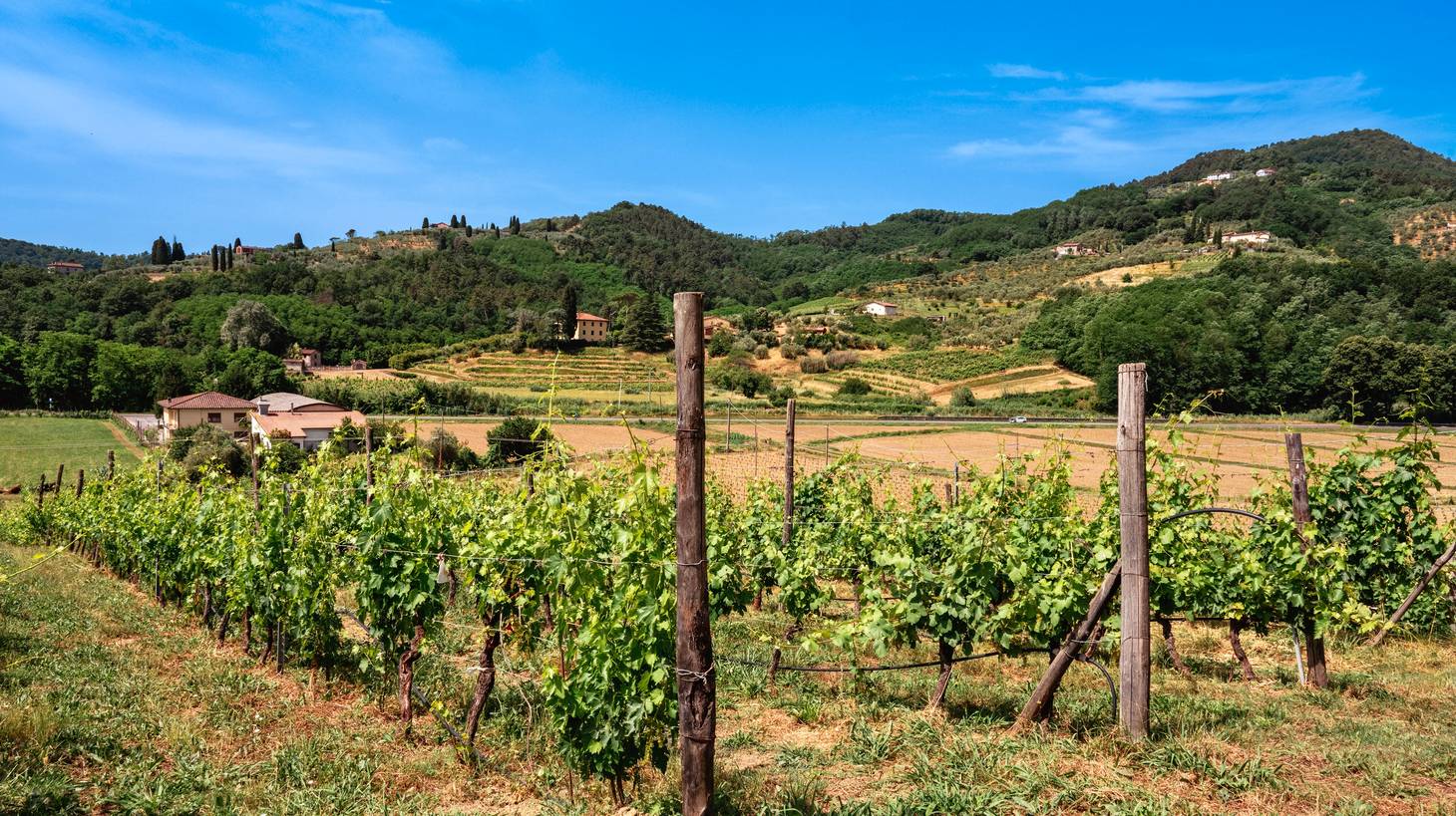 Les meilleures activités à Viareggio : escapades à la plage lors d'une excursion d'une journée - 2025 - 24 - activités à Viareggio Activités à Viareggio - Les meilleures activités à Viareggio : escapades à la plage lors d'une excursion d'une journée - 2025 - 23