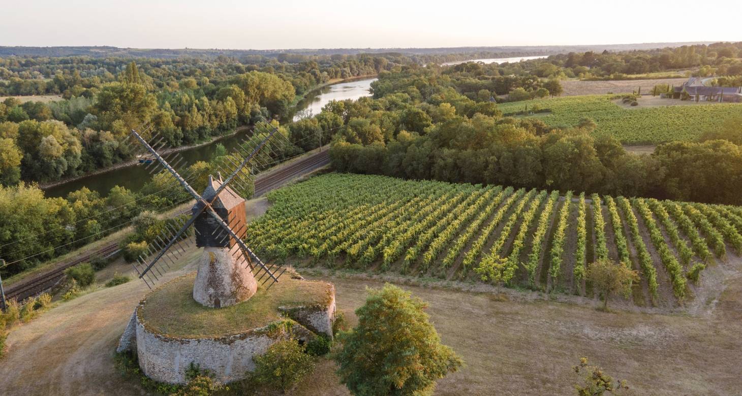 Route des vins de Loire: guide des vins de la vallée - 2026 - 9 - route des vins loire route des vins loire - Route des vins de Loire: guide des vins de la vallée - 2026 - 8