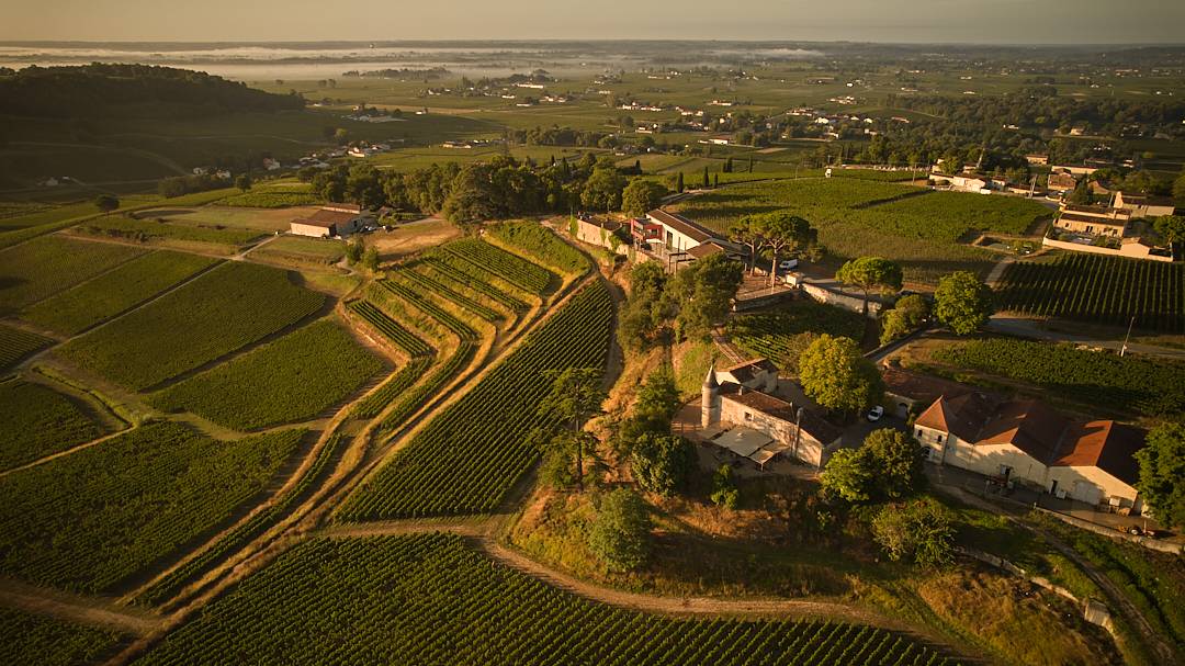 Saint-Émilion Grand Cru Classé: visita e degustação