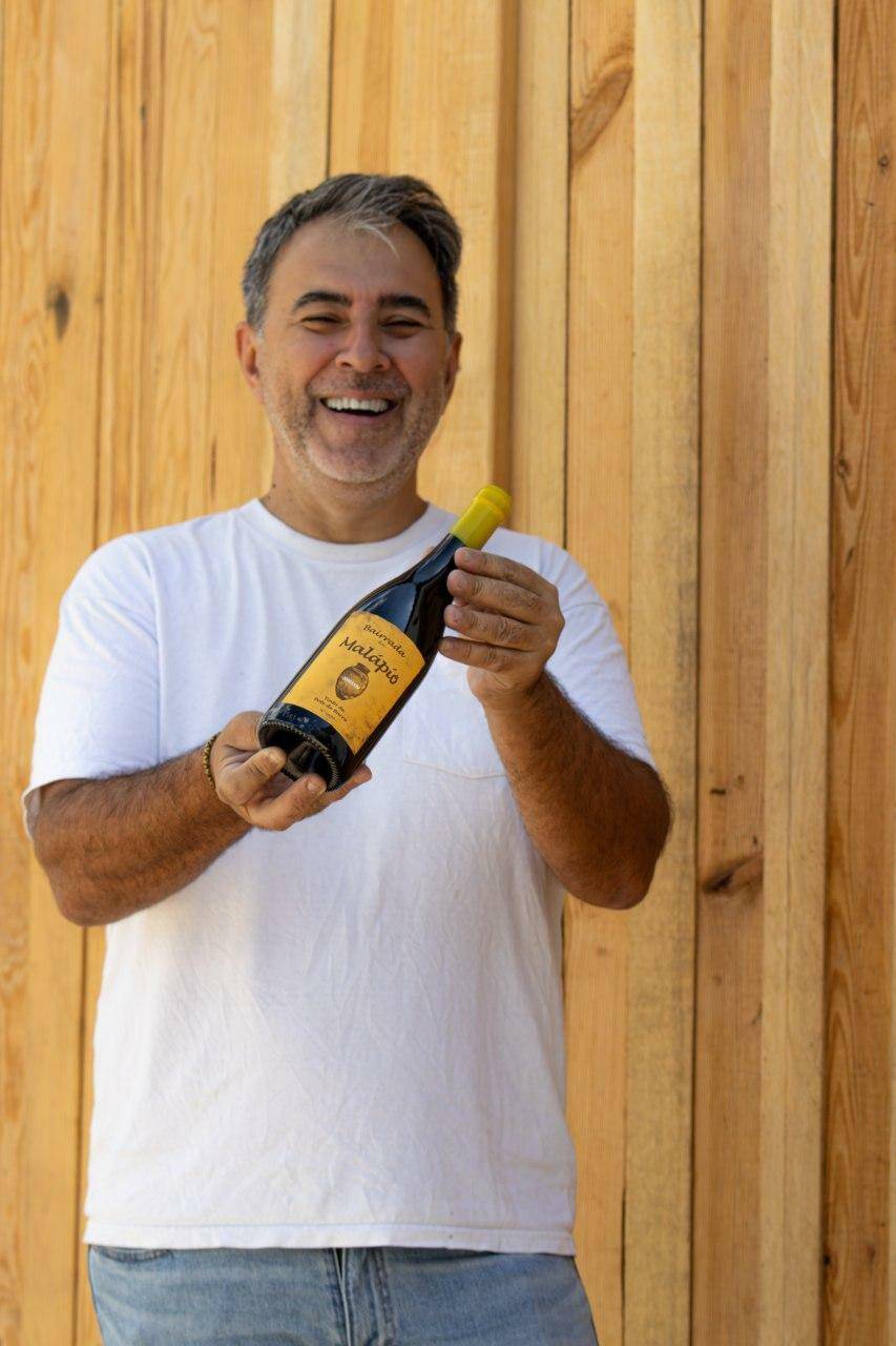 Visita al vigneto e alla cantina & Pasto Bairrada