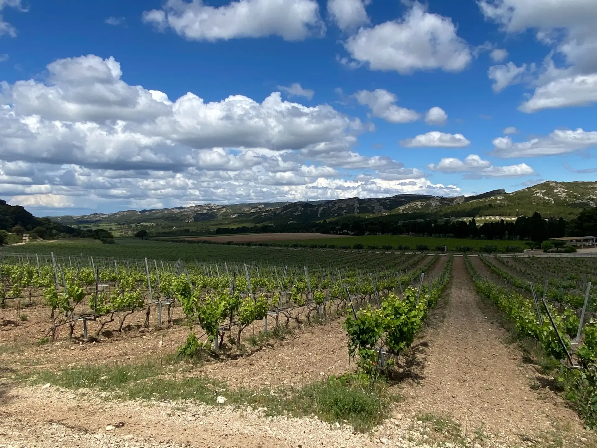 Beaujolais Wine Experiences - Winalist