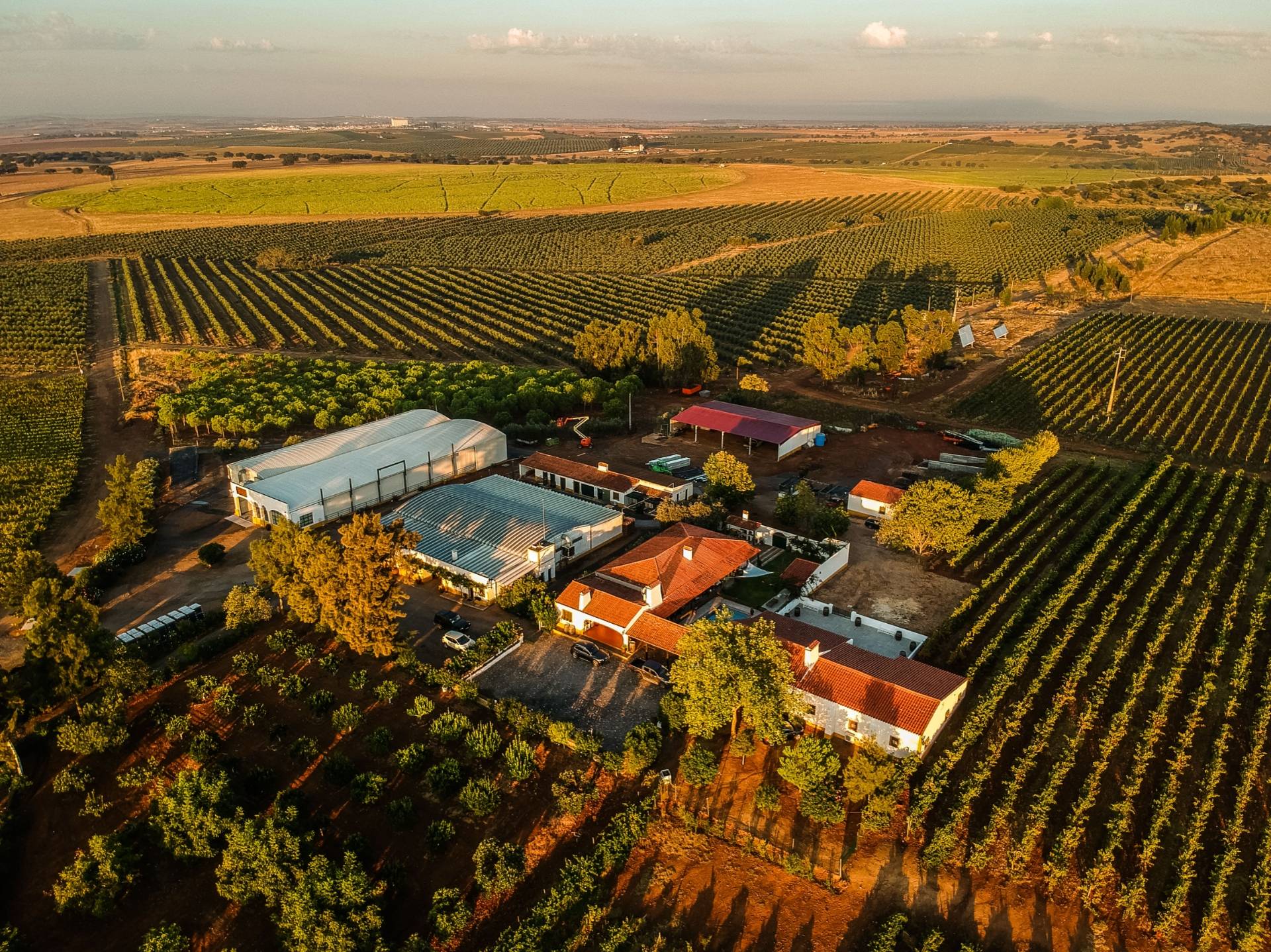 Herdade Grande - Winalist