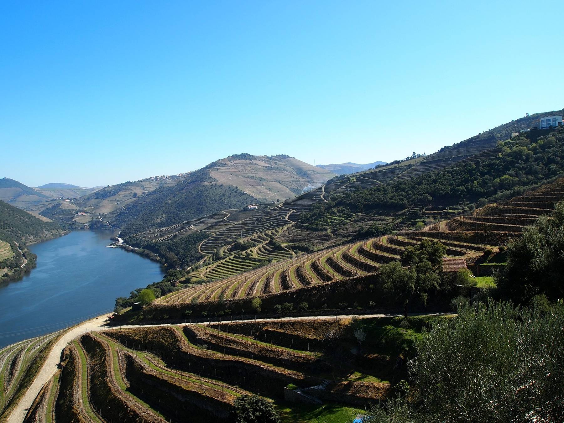 New Douro Tour - Winalist