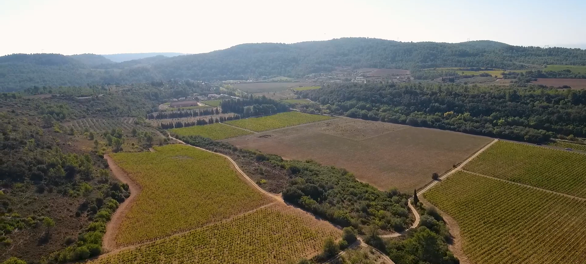 Degustazione Gourmet