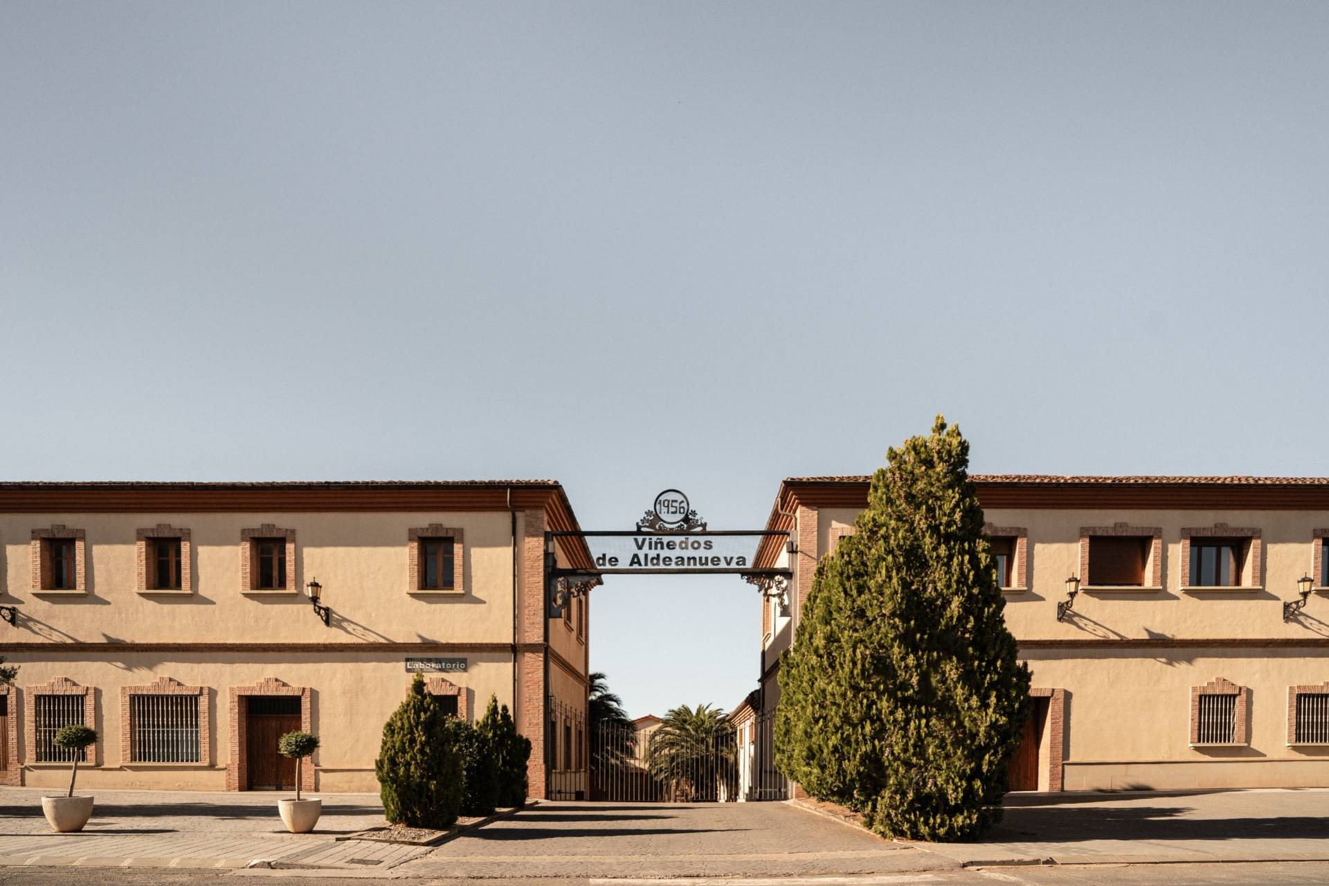 Viñedos de Aldanueva - Winalist