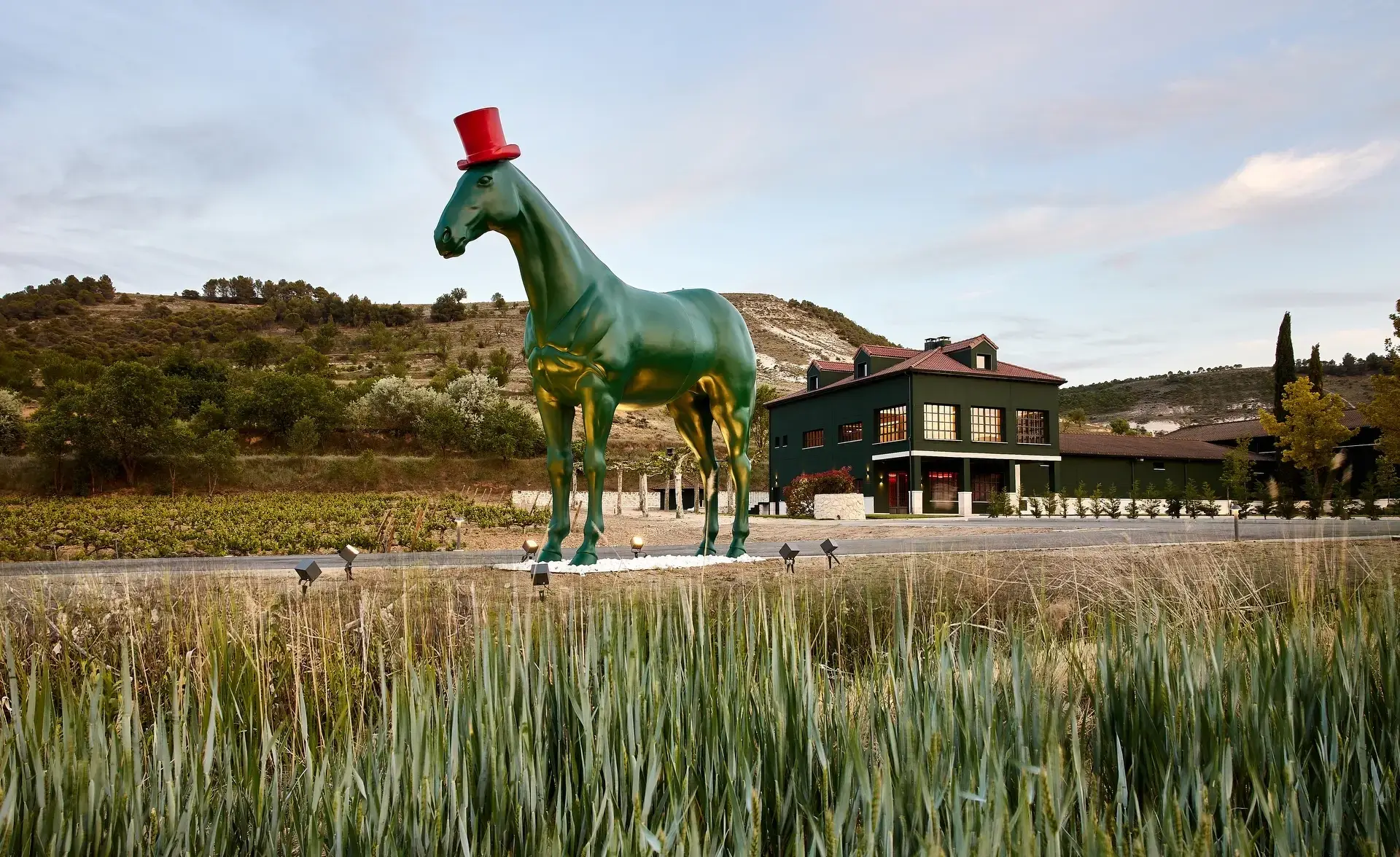 Bodegas Virtus - Winalist