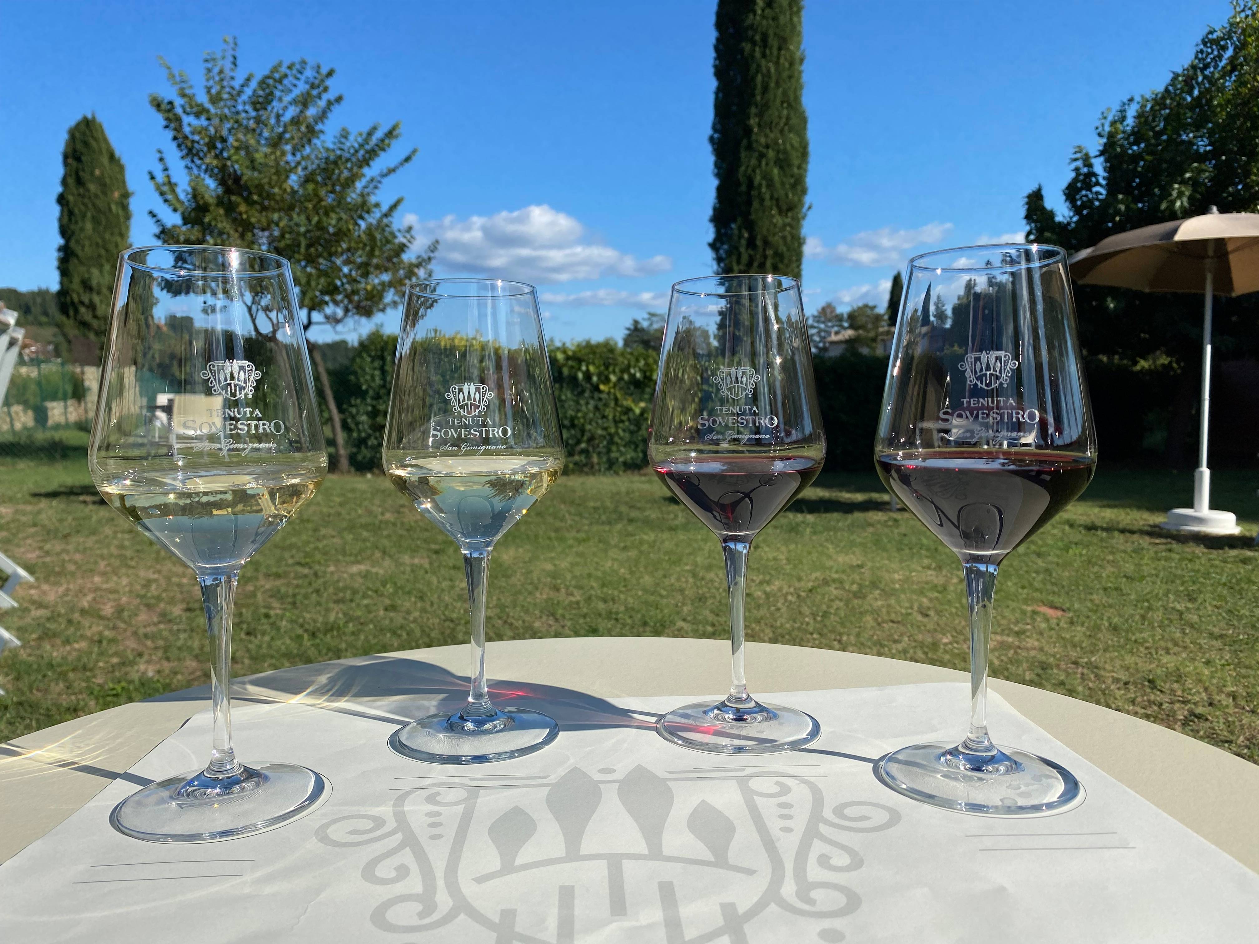 De fantastische zeven - Tenuta Sovestro   San Gimignano - Winalist