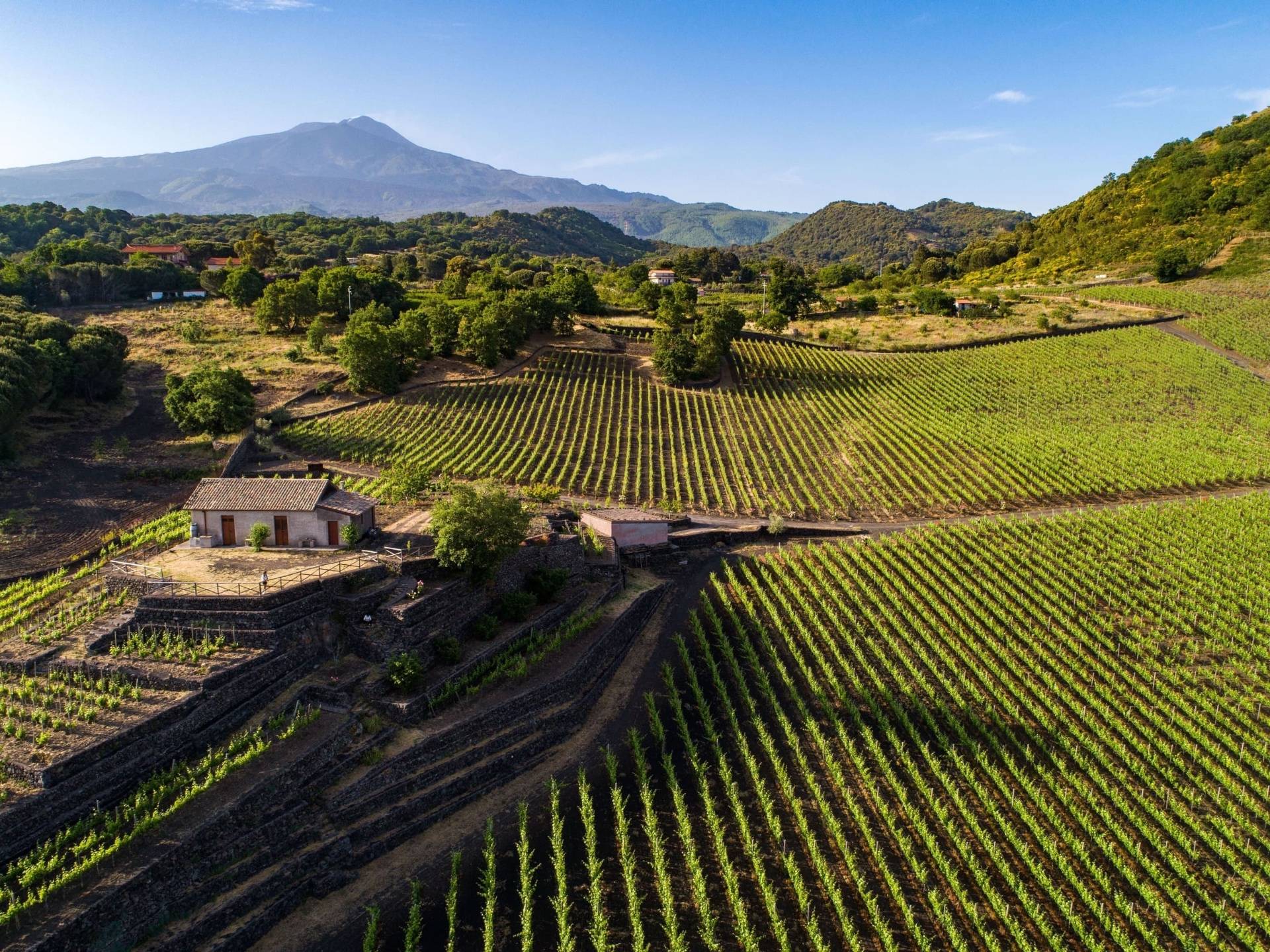 Visitez l'Etna - Visitez l'Etna en Sicile : Explorez le volcan le plus actif d'Europe - 2025 - 19