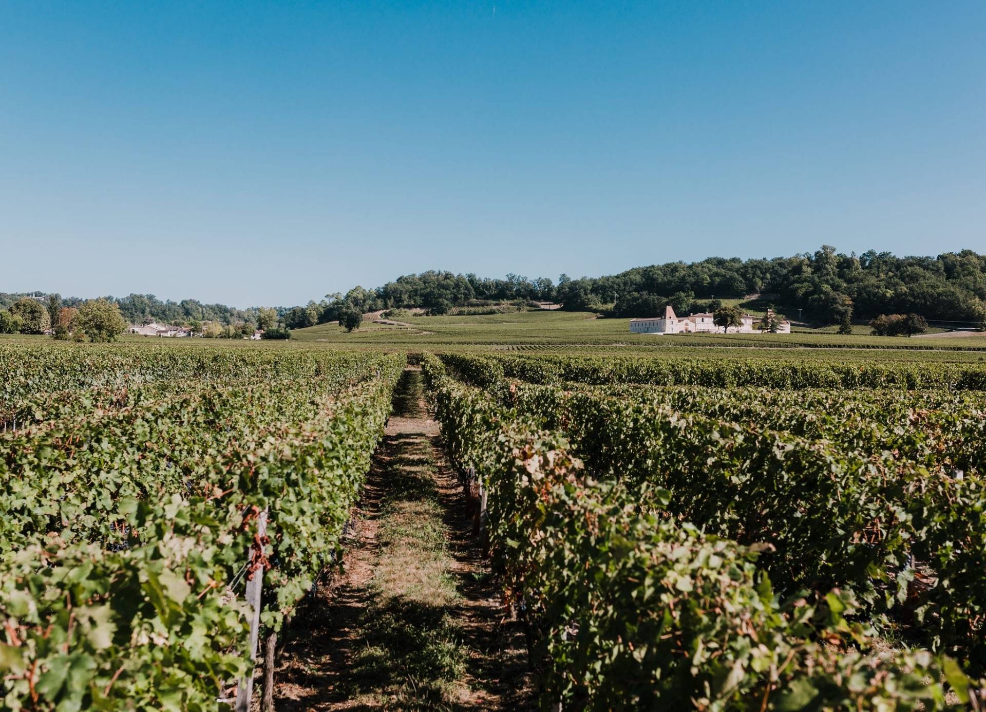 Vignobles Invindia - Winalist