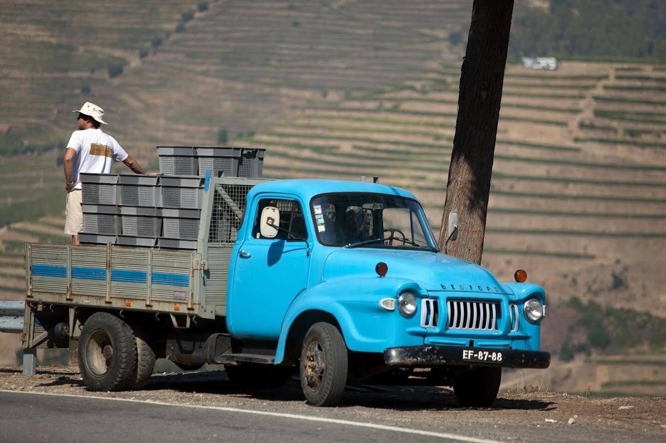 About winegrowers - Quinta Da Faísca - Photo - Winalist