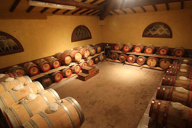 Wine Tour Experience