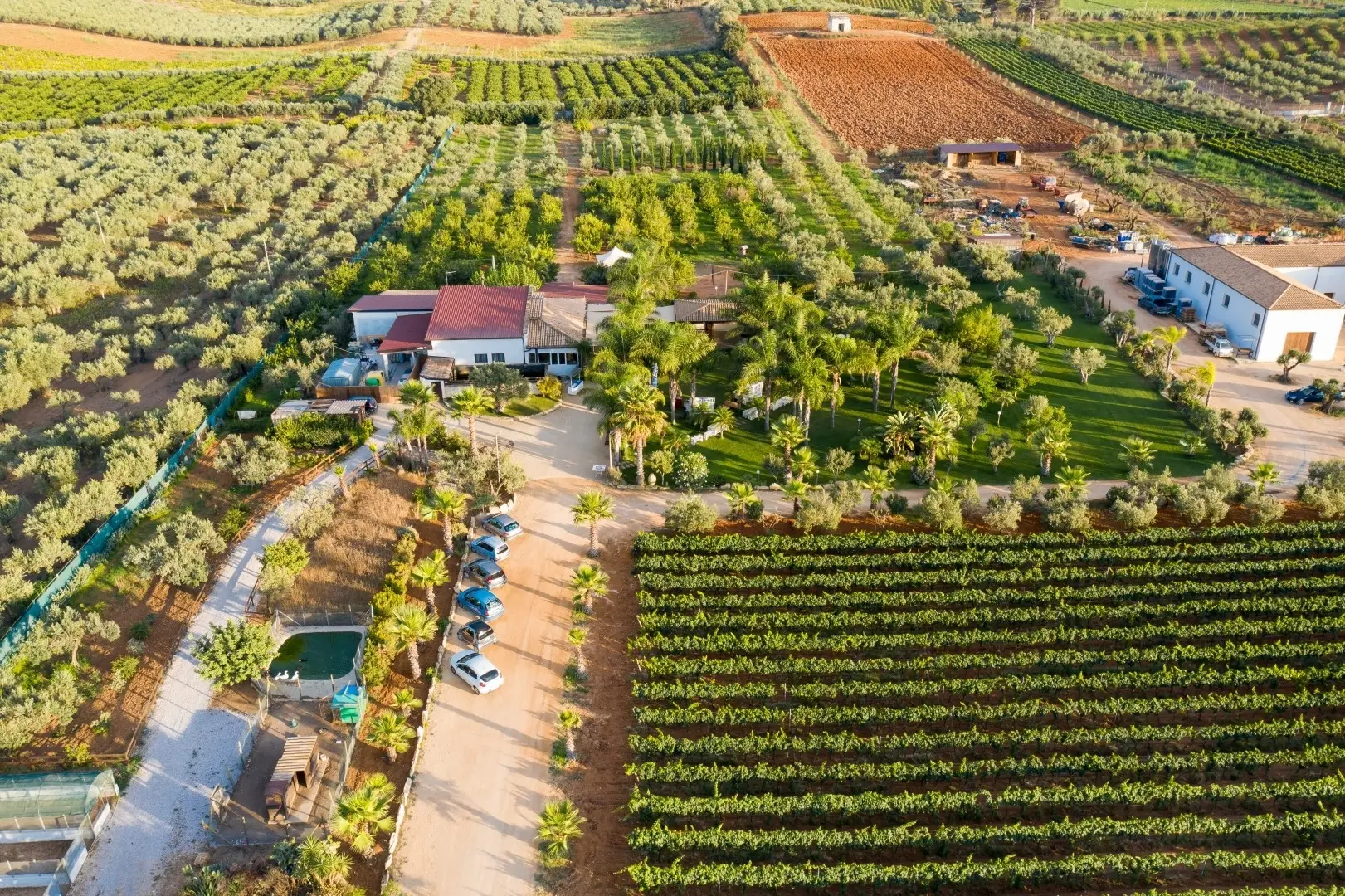 Augustali di Filomena Ammoscato - Winalist