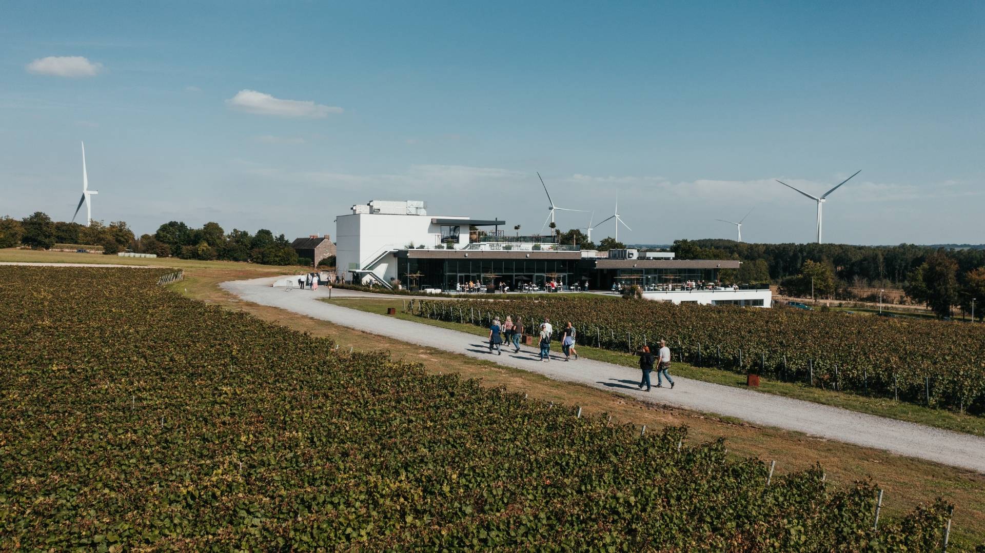 Domaine Du Chant d'Éole - Winalist