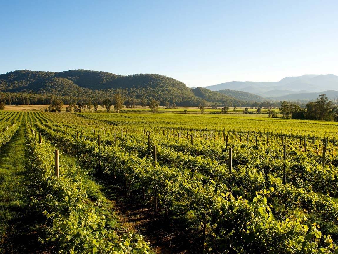 Casa Da Tojeira - Winalist