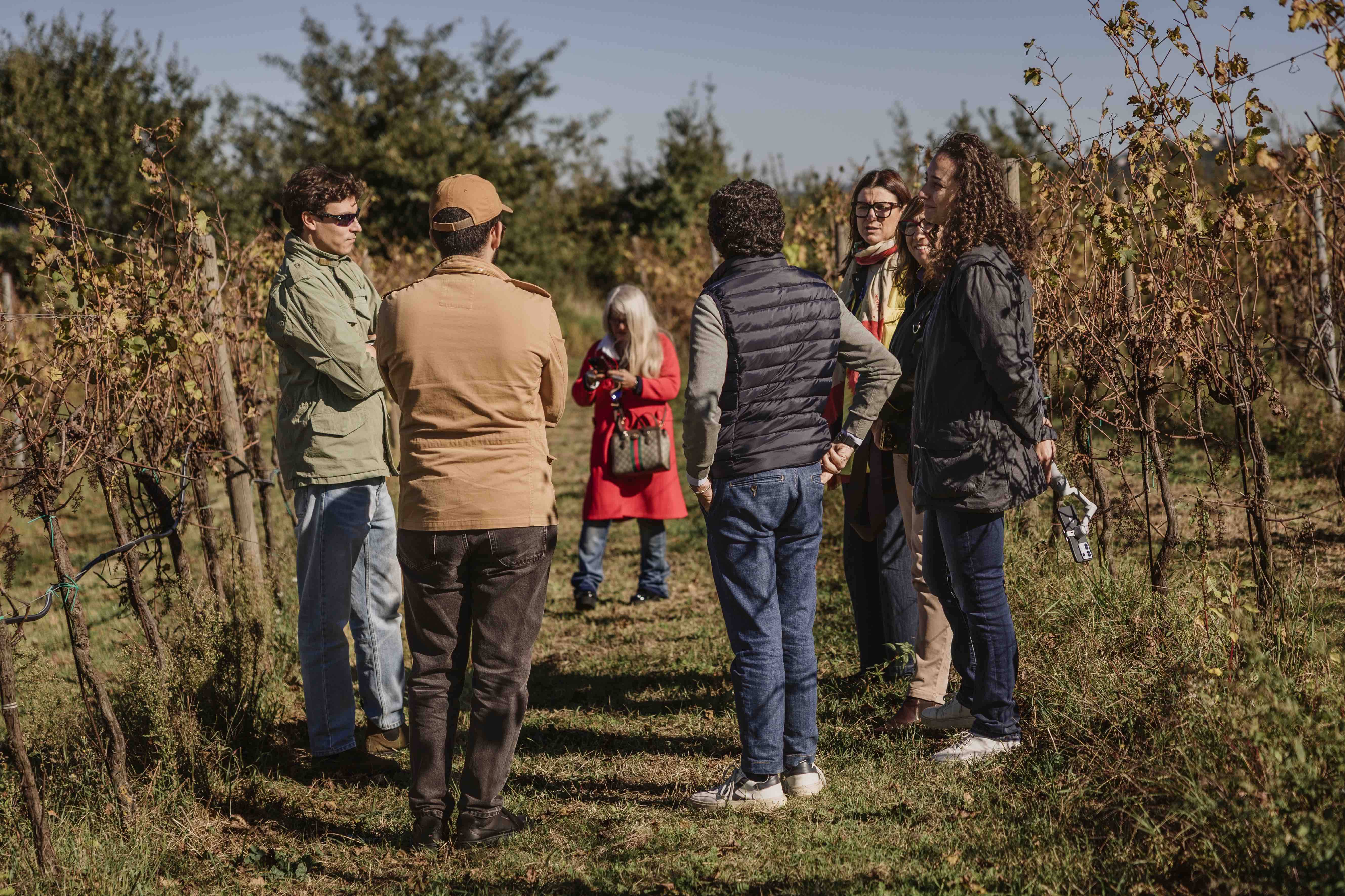 In the Vineyard and in the Cellar: Tour of PGI Wines