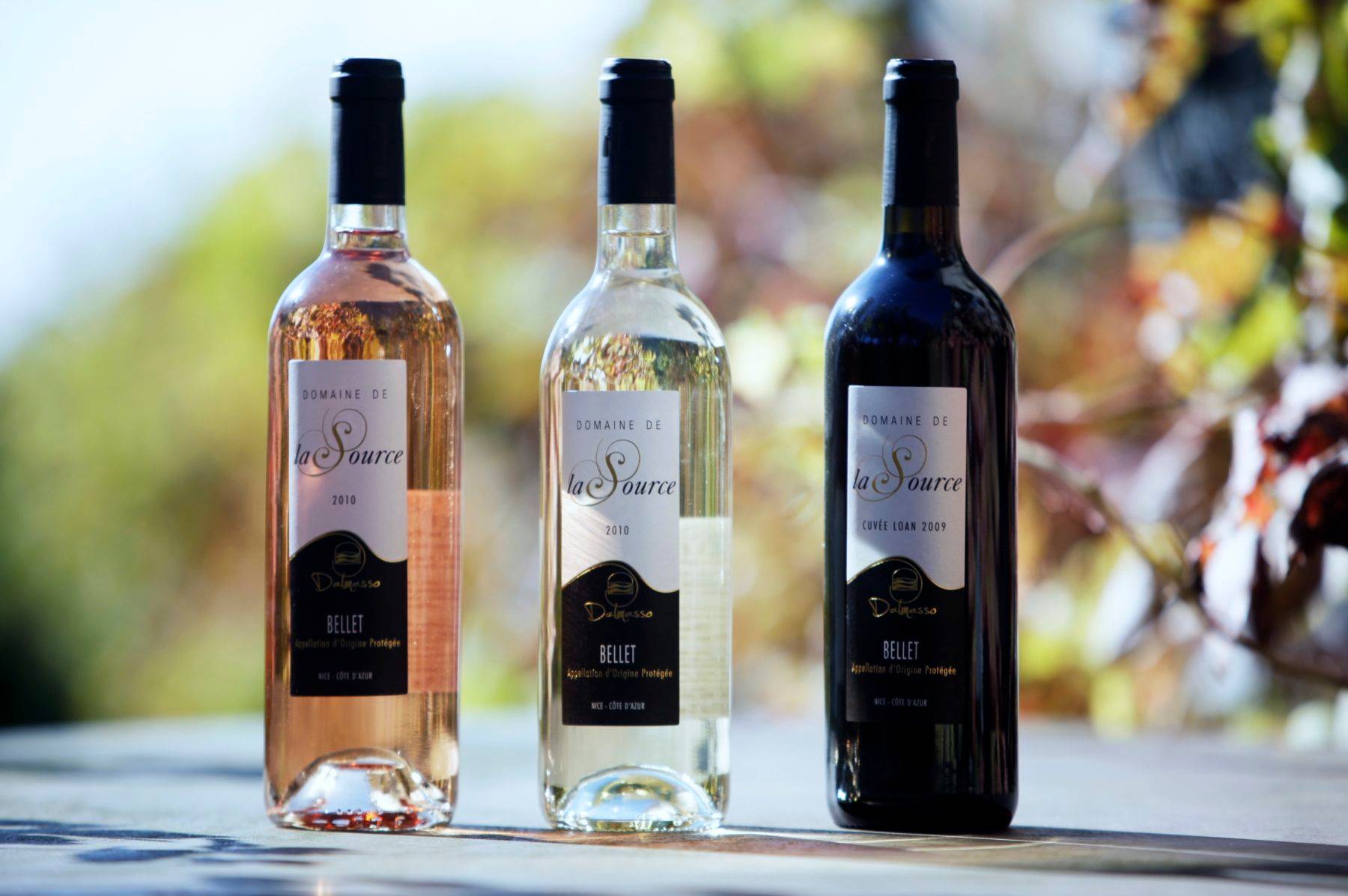 Descoberta do vinhedo de Niçois e dos vinhos orgânicos de Bellet