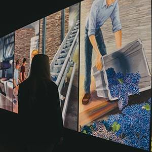 Porto: Museu The Wine Experience - WOW  - WOW - The Best Cultural District - Winalist