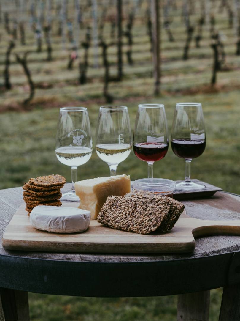 Dream Wine Tasting at 2 Paros Wineries