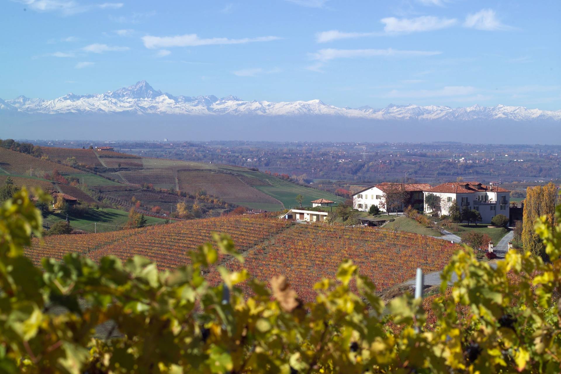 Poderi Luigi Einaudi - Winalist