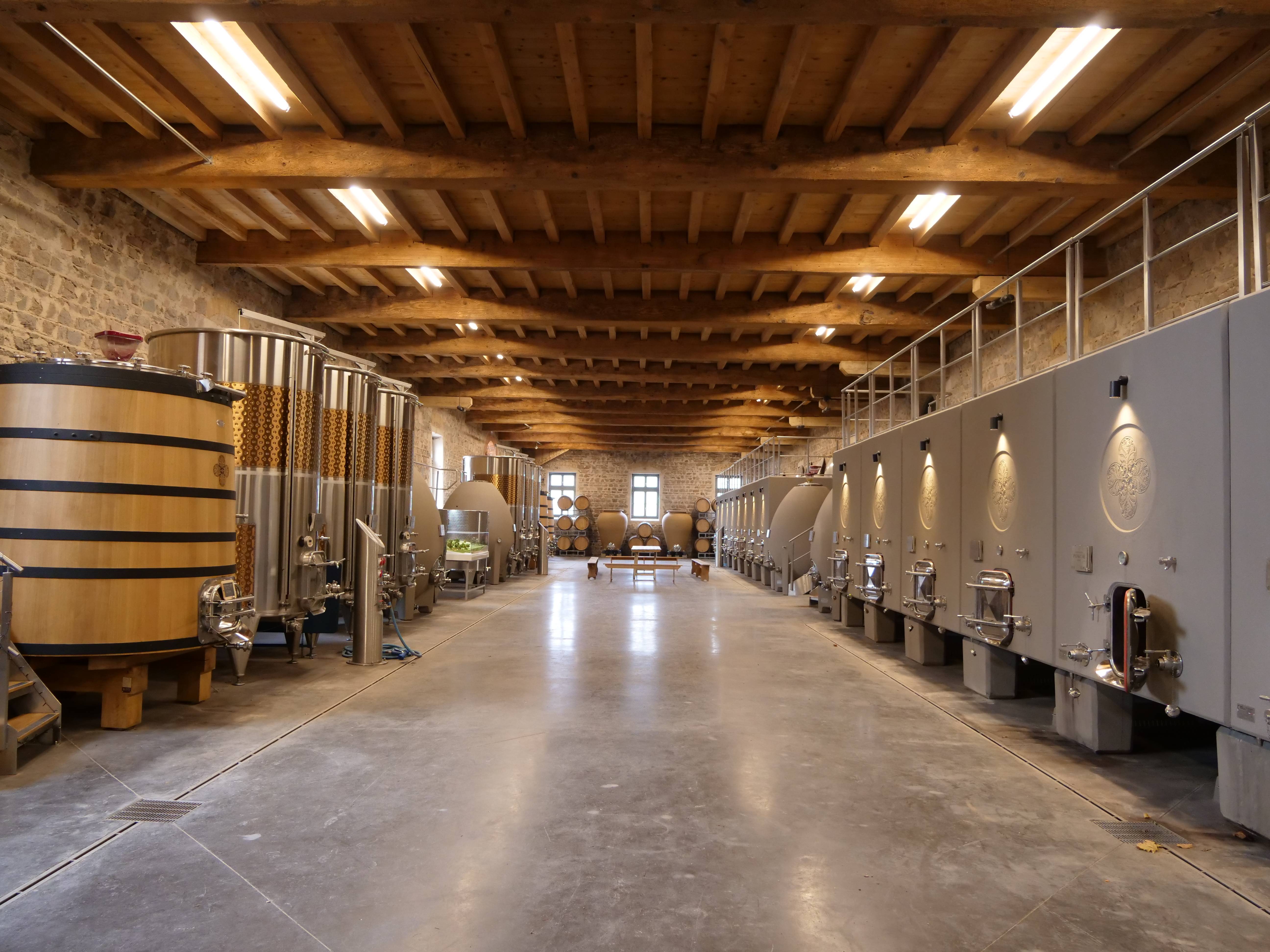 Discovery: Visit of the vineyard & tasting