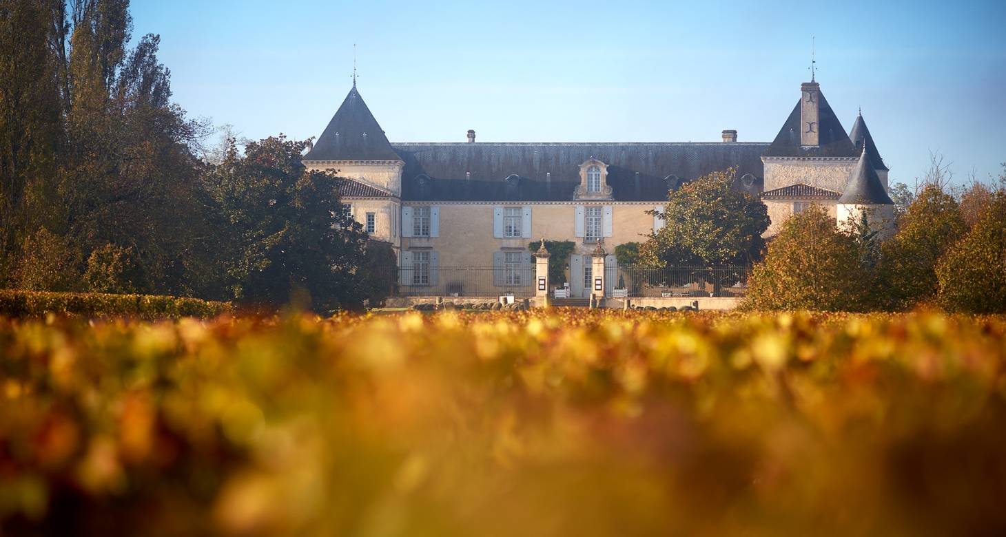 Guide to the best things to do in Bordeaux - 2026 - 35 - things to do in bordeaux things to do in bordeaux - Guide to the best things to do in Bordeaux - 2026 - 34