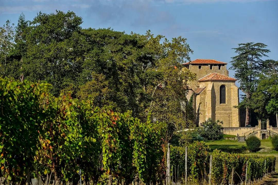 From the vine to the cellar - Vignoble Plaimont - Winalist
