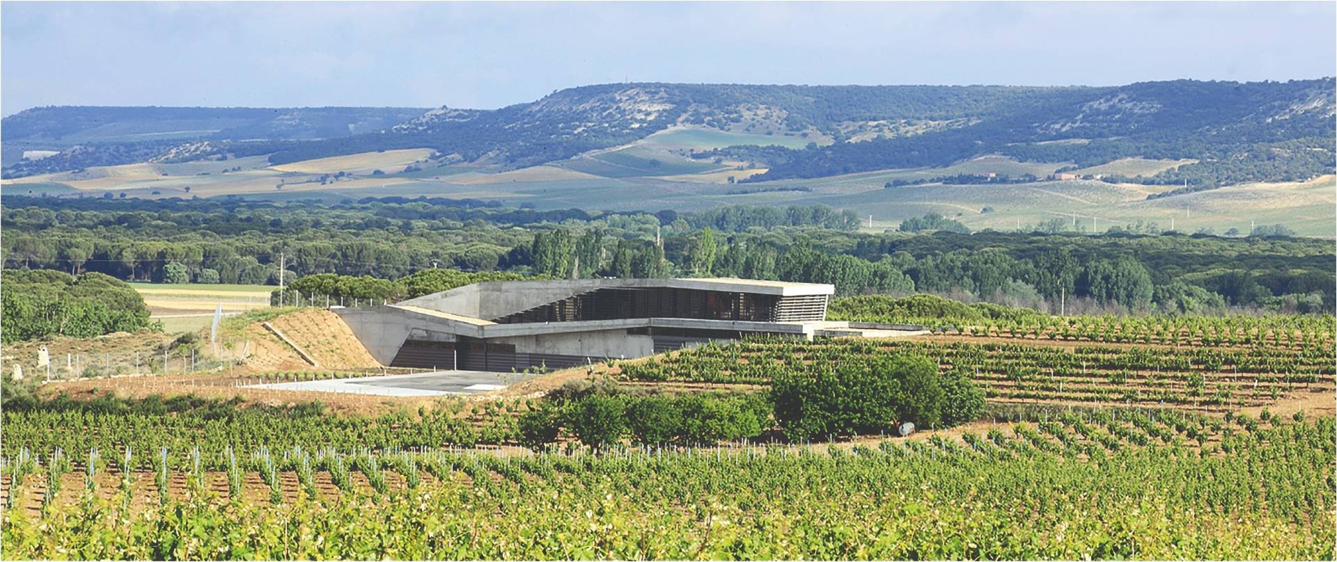 Bodega Tr3smano - Winalist