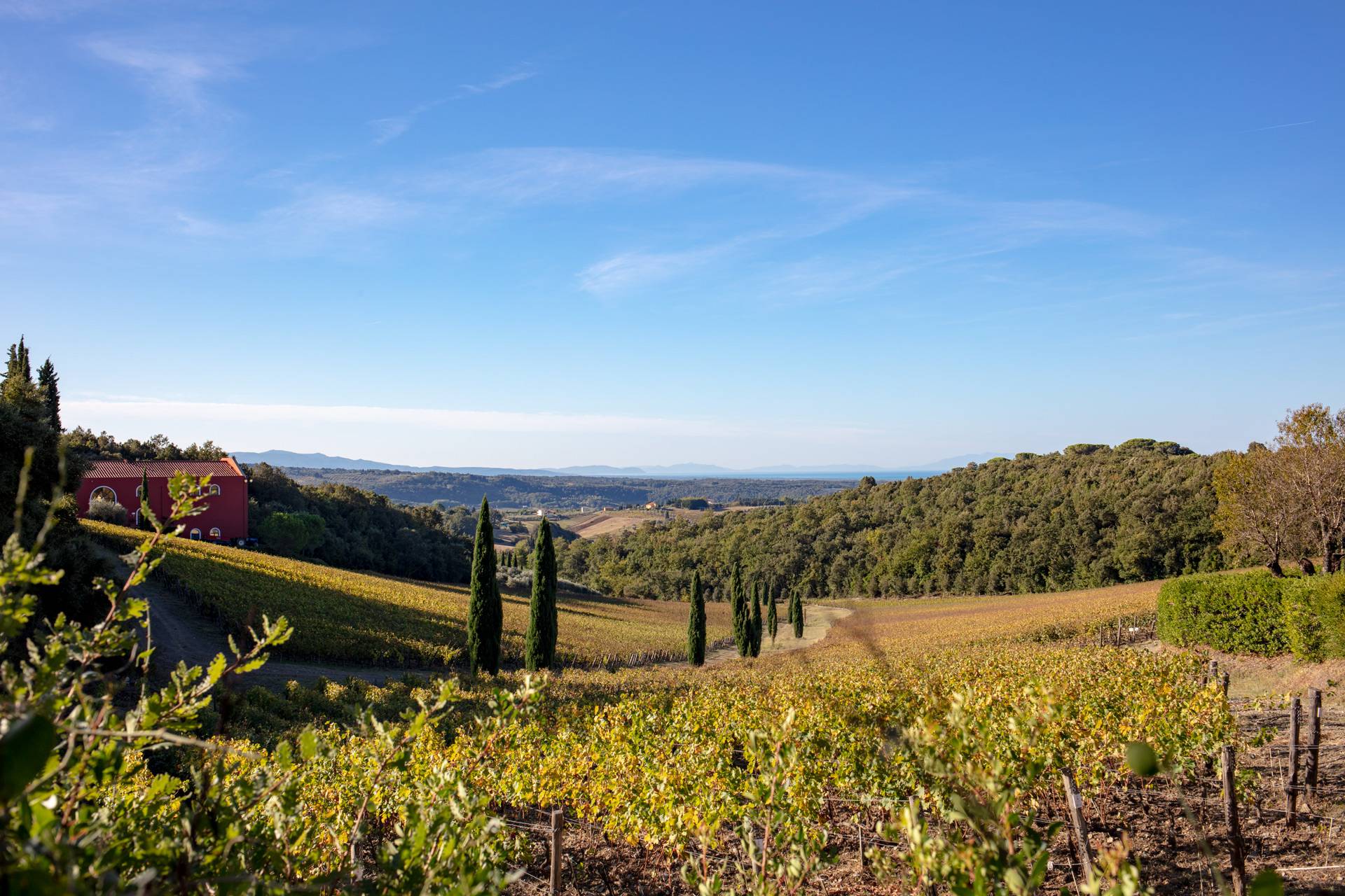 A Taste of Caiarossa