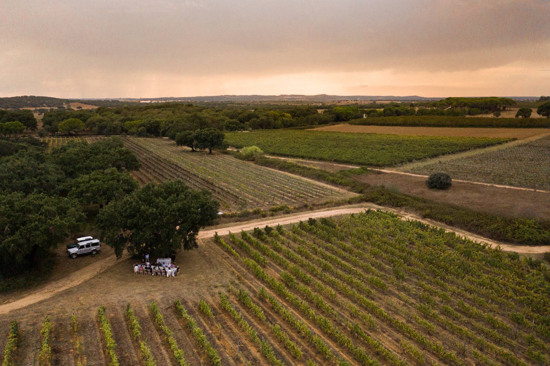 Tapada De Coelheiros - Winalist