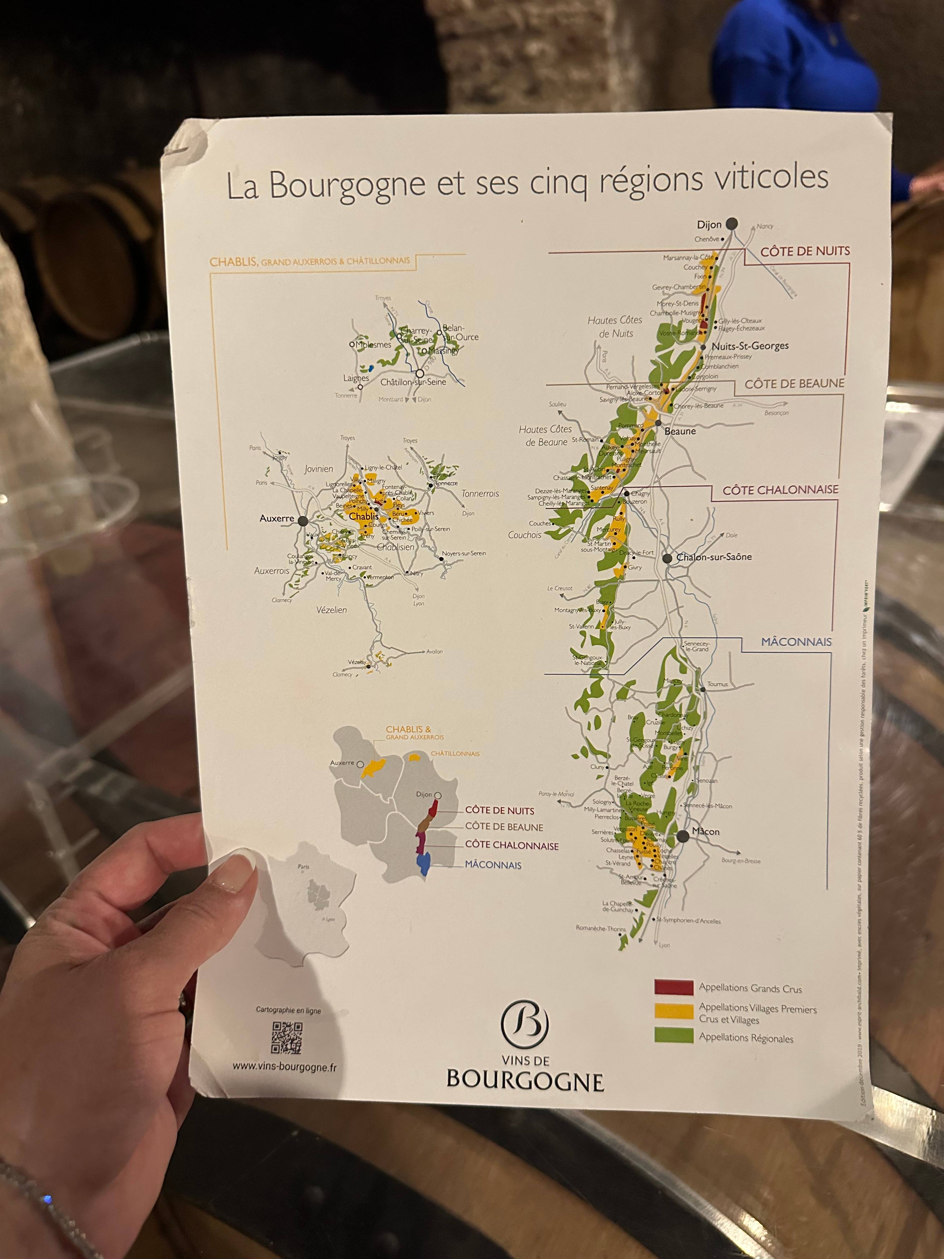 Parcours de la vigne au verre