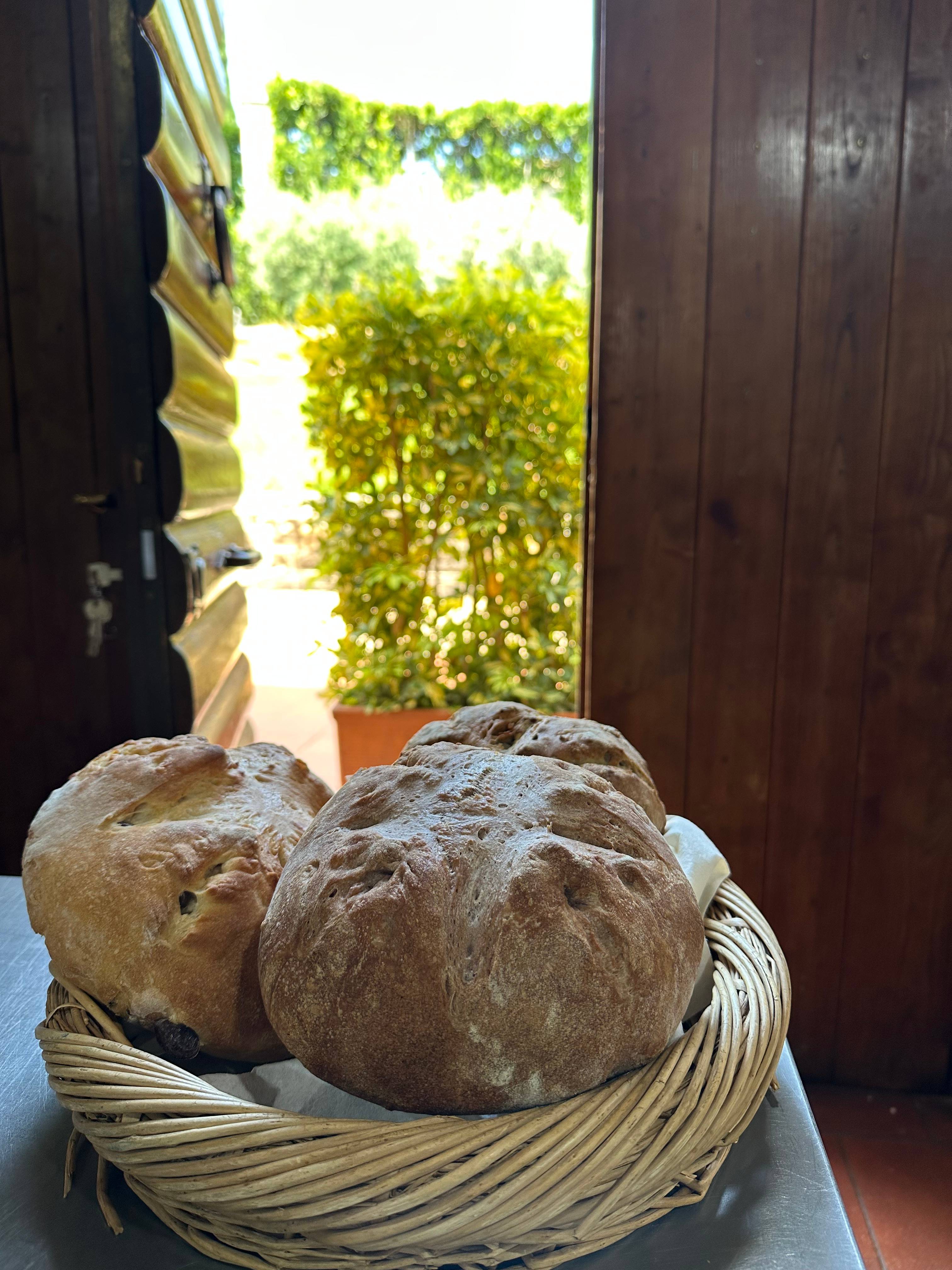 Etere Premium - Guided Tour and Lunch