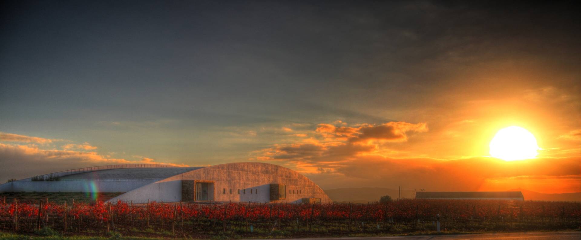 Tiago Cabaço Winery - Winalist